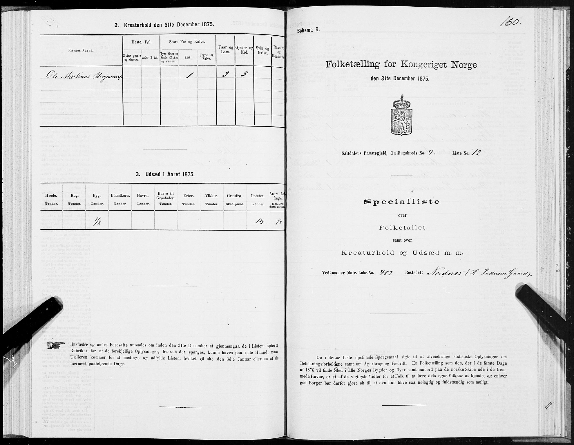SAT, 1875 census for 1840P Saltdal, 1875, p. 2160