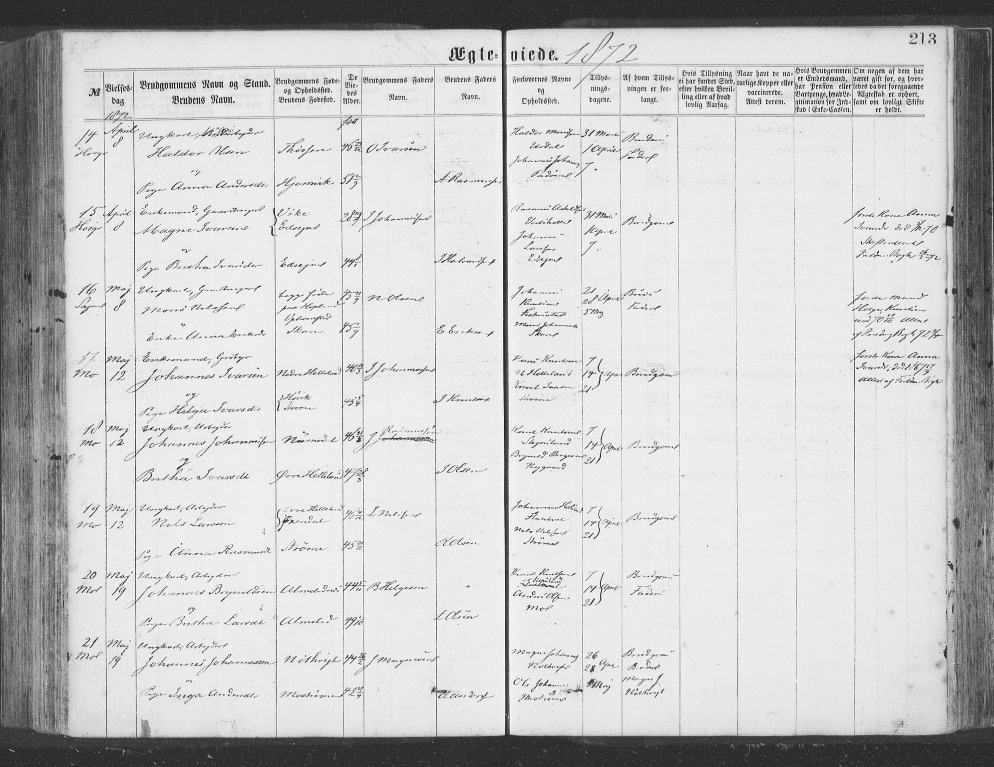 Hosanger sokneprestembete, AV/SAB-A-75801/H/Haa: Parish register (official) no. A 9, 1864-1876, p. 213