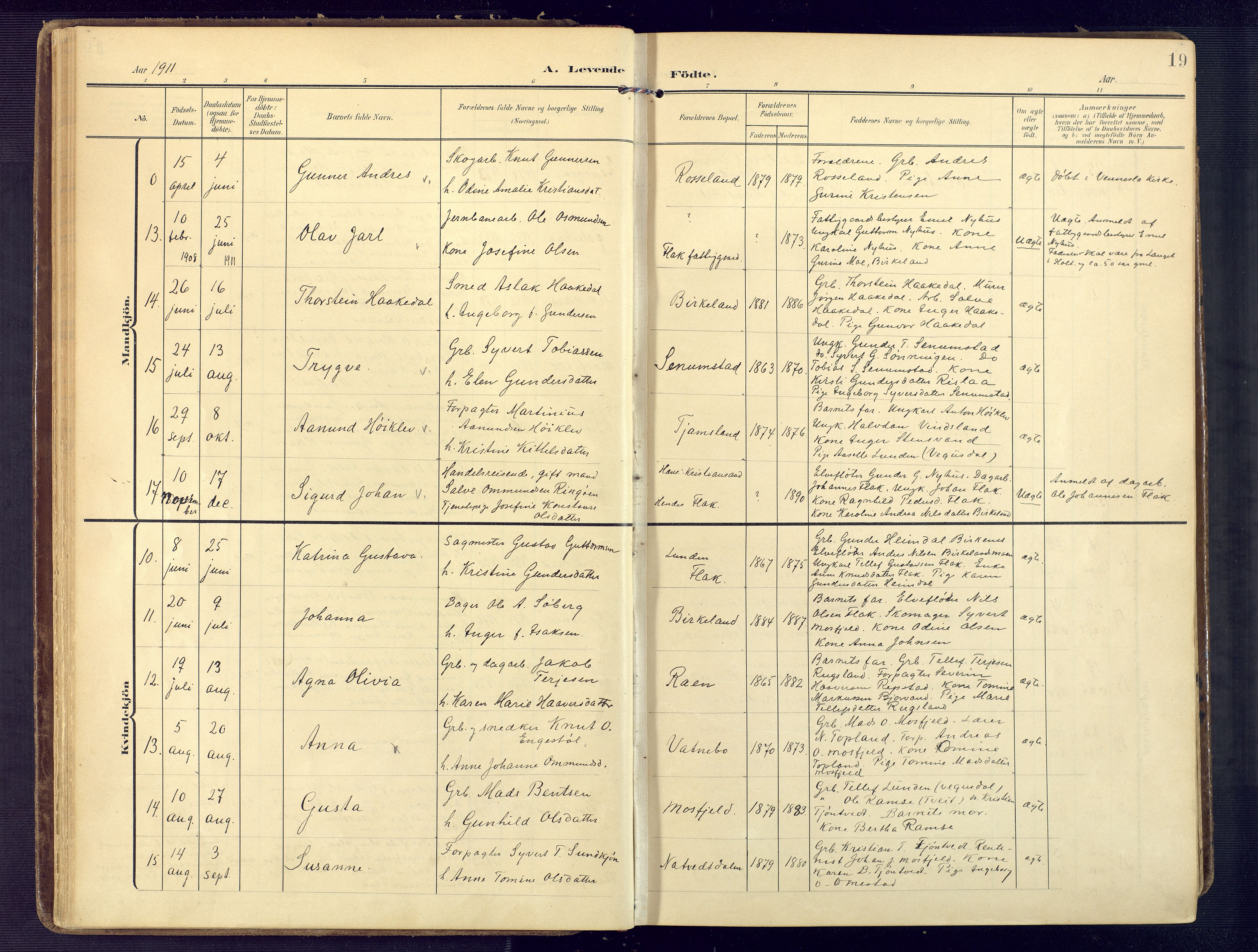 Birkenes sokneprestkontor, SAK/1111-0004/F/Fa/L0006: Parish register (official) no. A 6, 1908-1932, p. 19