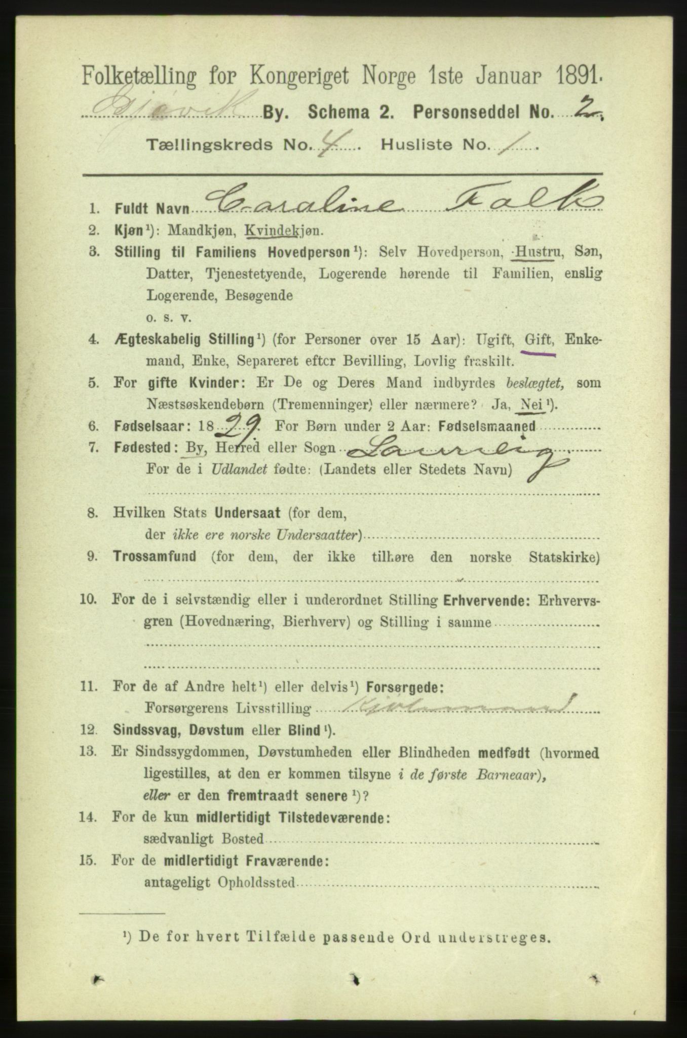 RA, 1891 census for 0502 Gjøvik, 1891, p. 1384