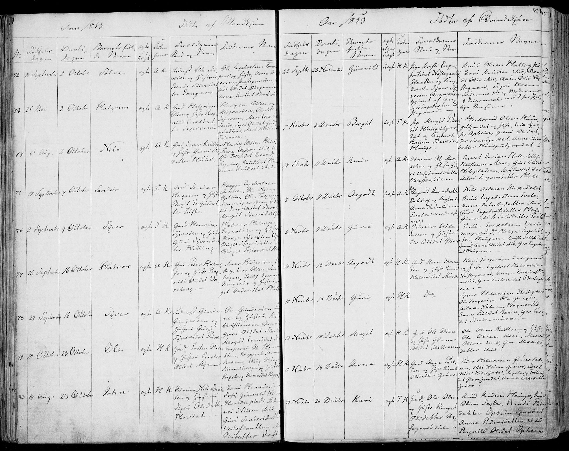 Ål kirkebøker, AV/SAKO-A-249/F/Fa/L0006: Parish register (official) no. I 6, 1849-1864, p. 43