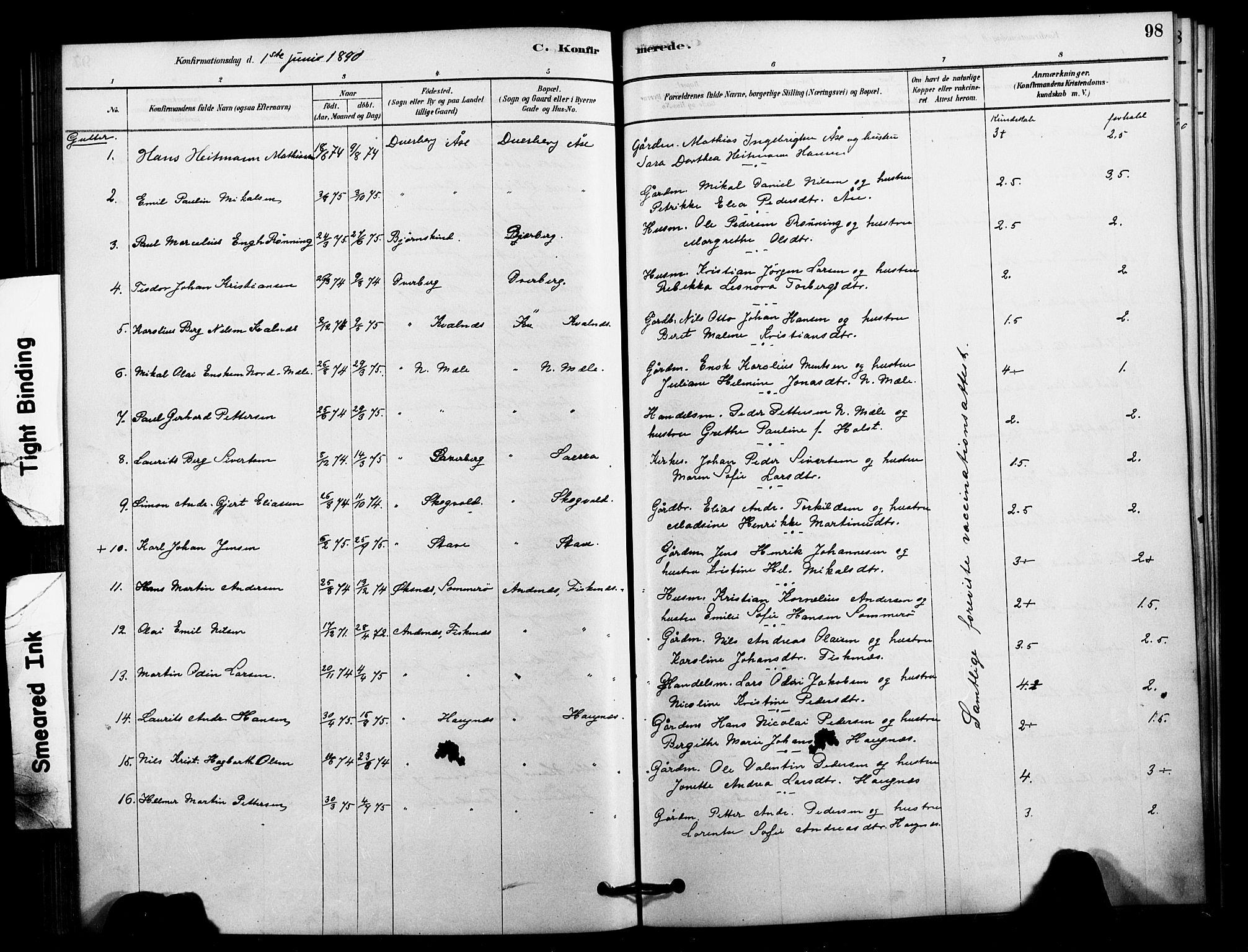 Ministerialprotokoller, klokkerbøker og fødselsregistre - Nordland, AV/SAT-A-1459/897/L1399: Parish register (official) no. 897C06, 1881-1896, p. 98