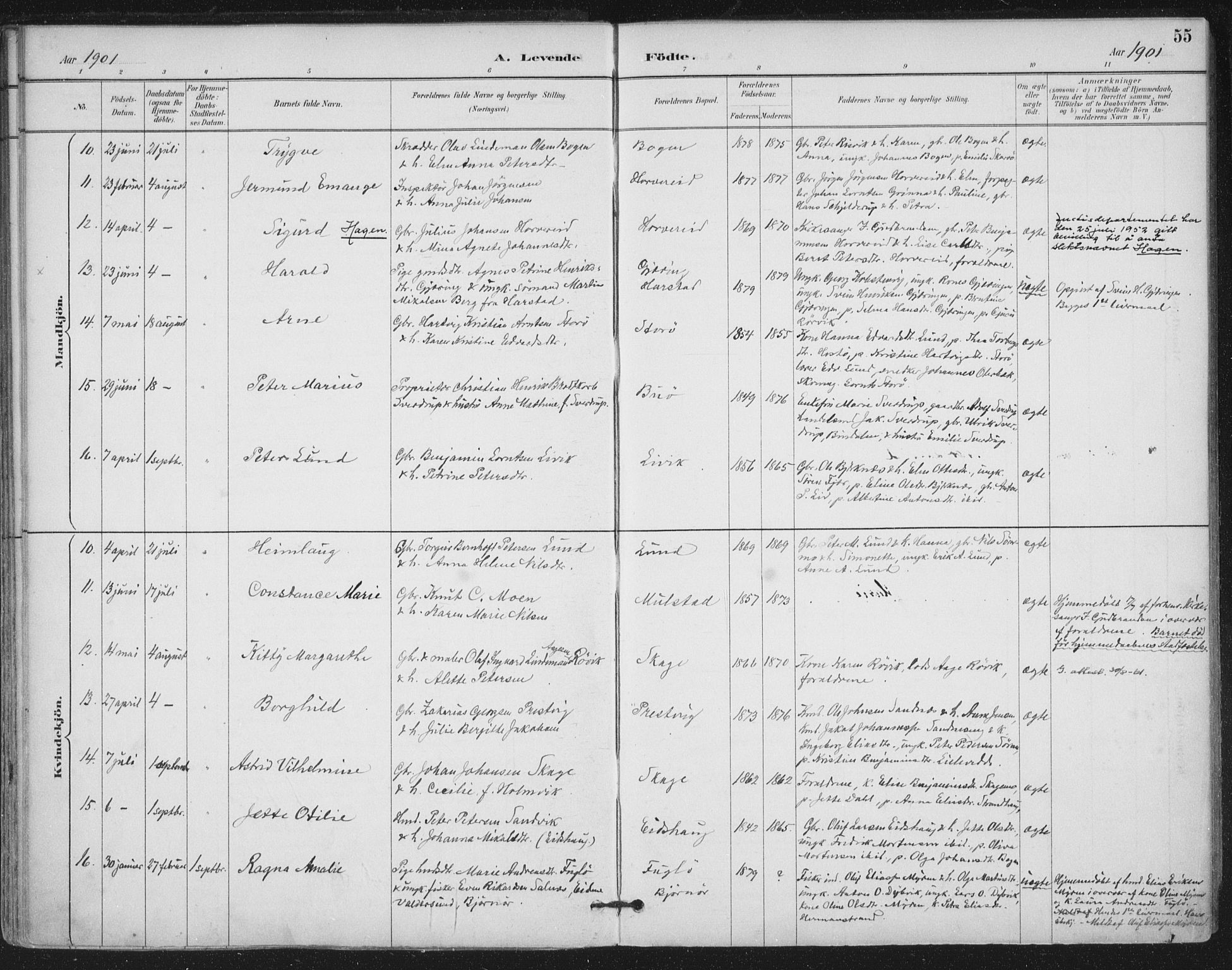 Ministerialprotokoller, klokkerbøker og fødselsregistre - Nord-Trøndelag, AV/SAT-A-1458/780/L0644: Parish register (official) no. 780A08, 1886-1903, p. 55