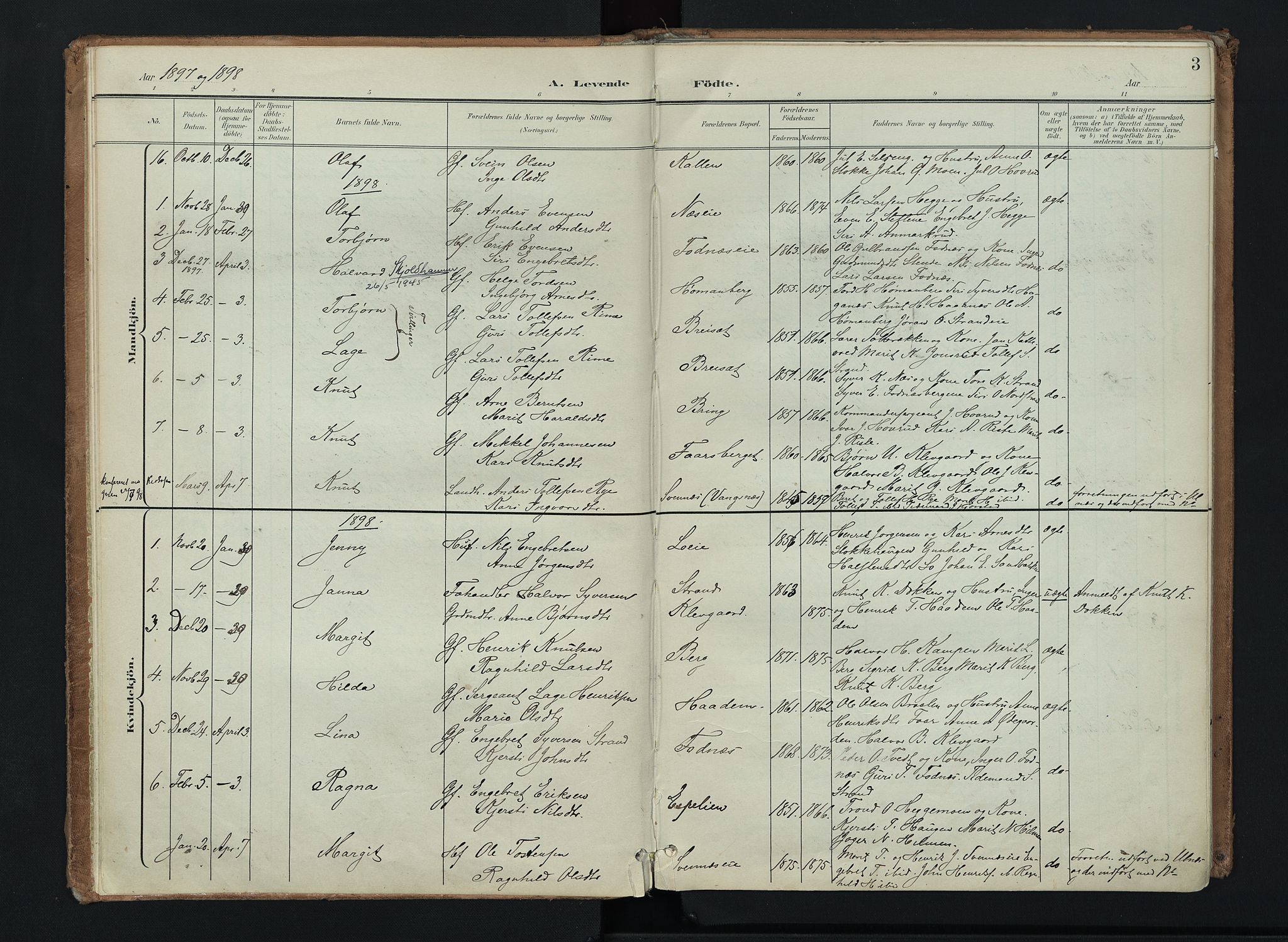 Nord-Aurdal prestekontor, SAH/PREST-132/H/Ha/Haa/L0016: Parish register (official) no. 16, 1897-1925, p. 3