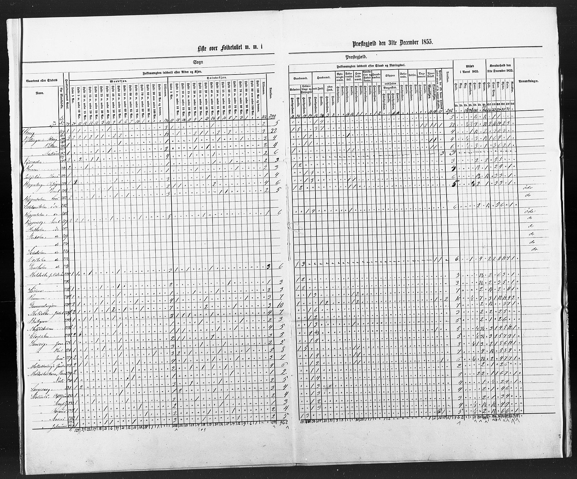 SAT, Census 1855 for Borgund, 1855, p. 91