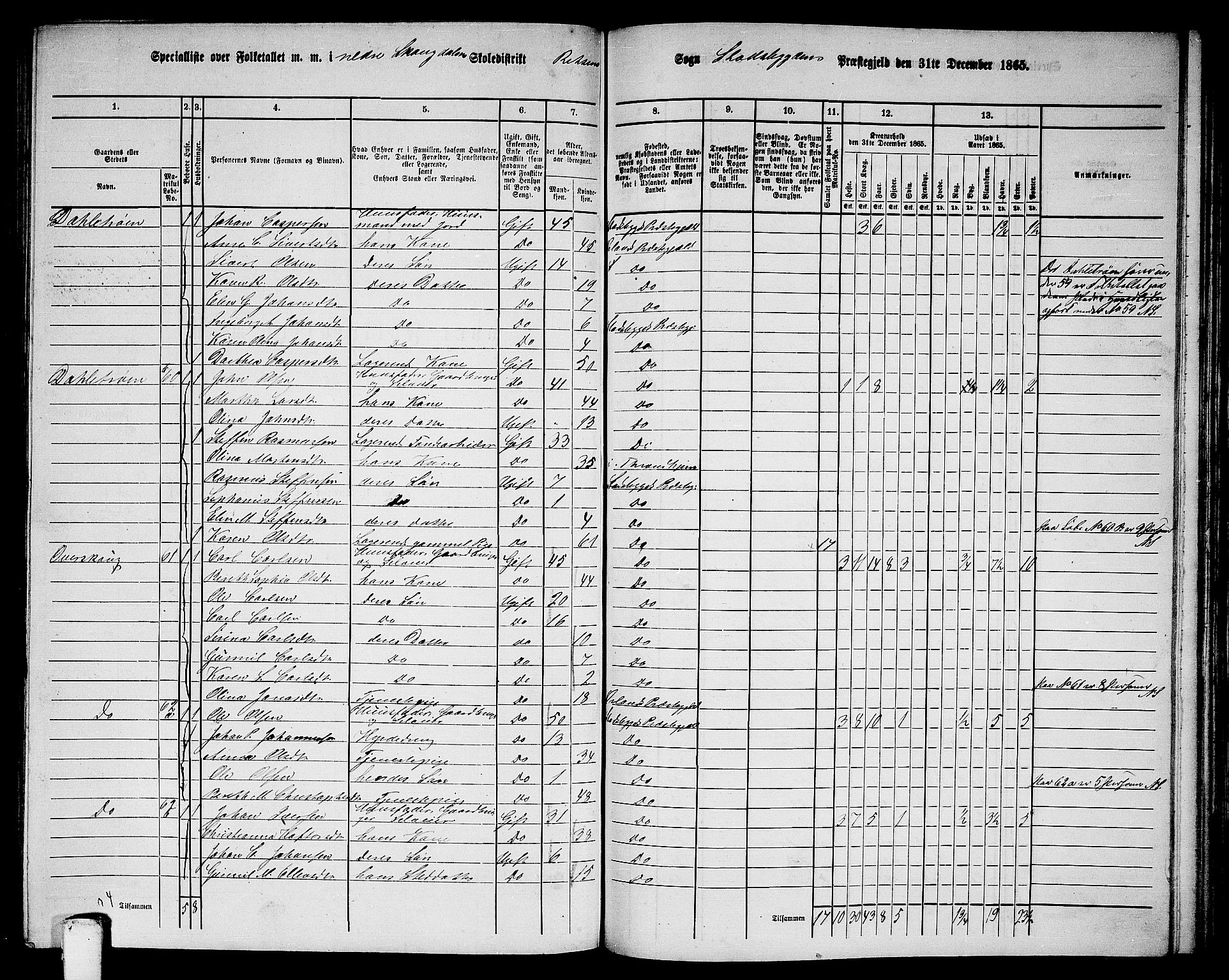 RA, 1865 census for Stadsbygd, 1865, p. 150