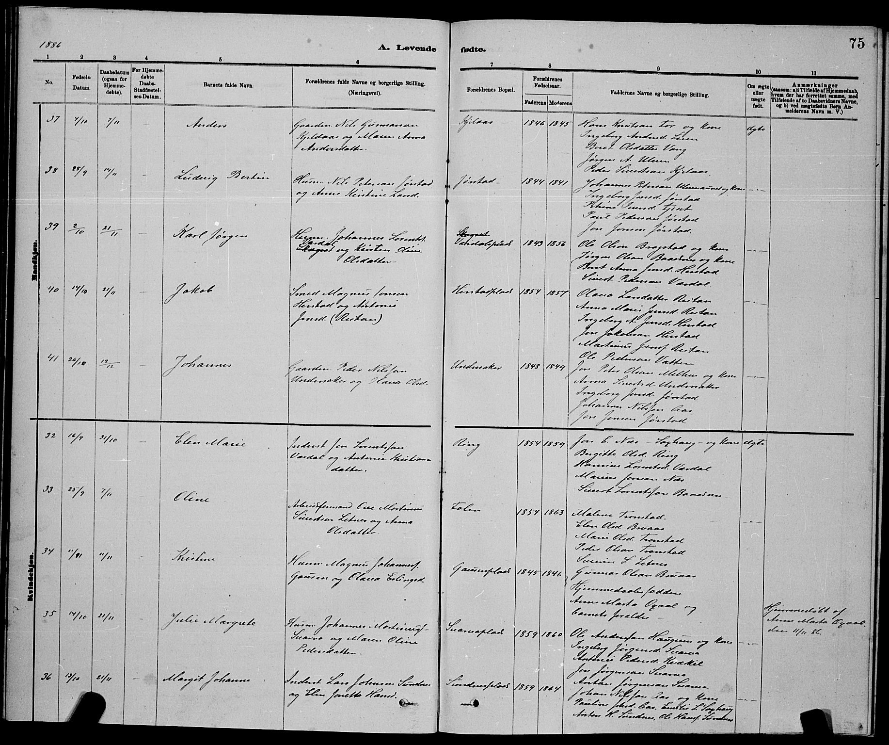 Ministerialprotokoller, klokkerbøker og fødselsregistre - Nord-Trøndelag, AV/SAT-A-1458/730/L0301: Parish register (copy) no. 730C04, 1880-1897, p. 75