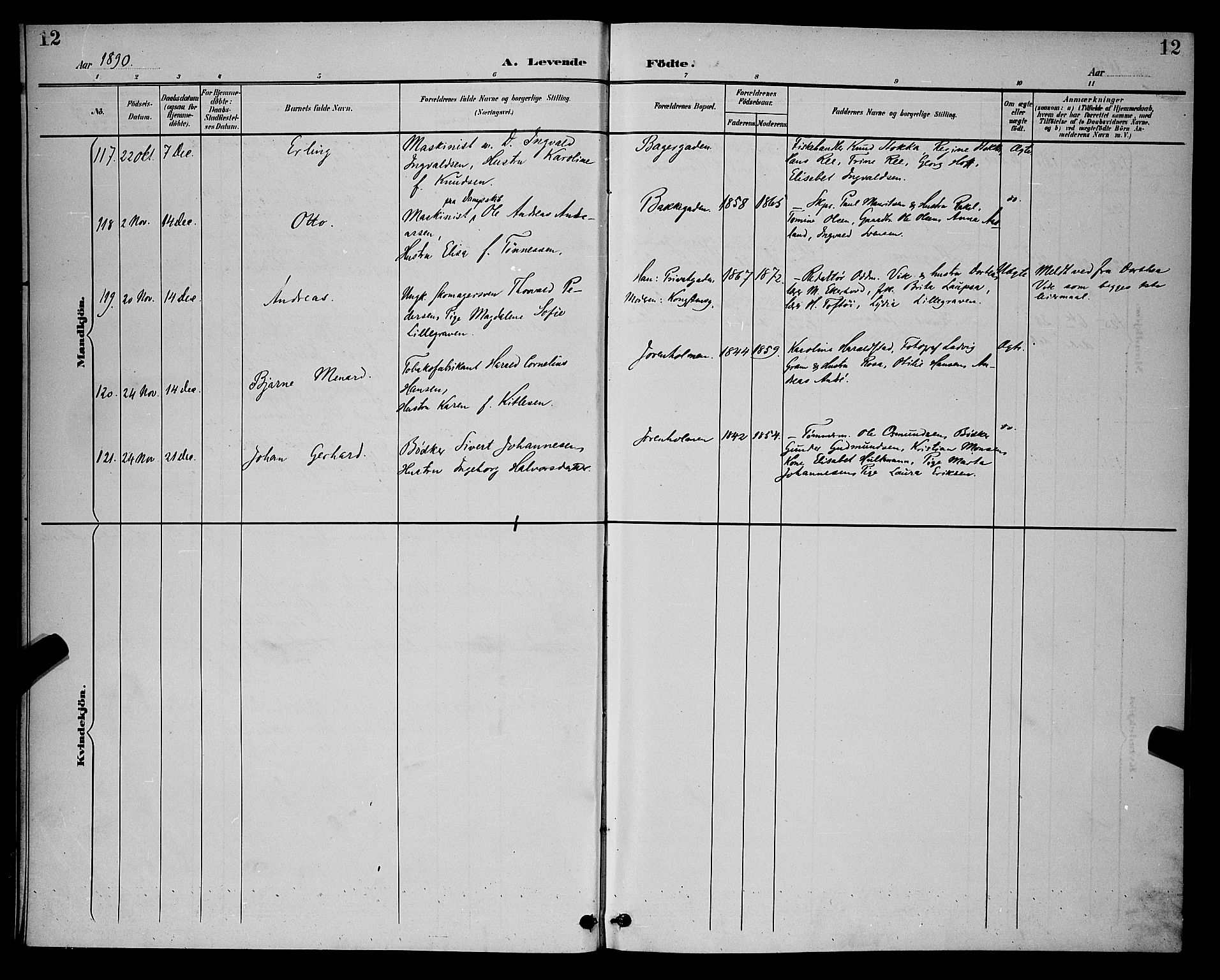 St. Petri sokneprestkontor, AV/SAST-A-101813/001/30/30BB/L0006: Parish register (copy) no. B 6, 1890-1897, p. 12