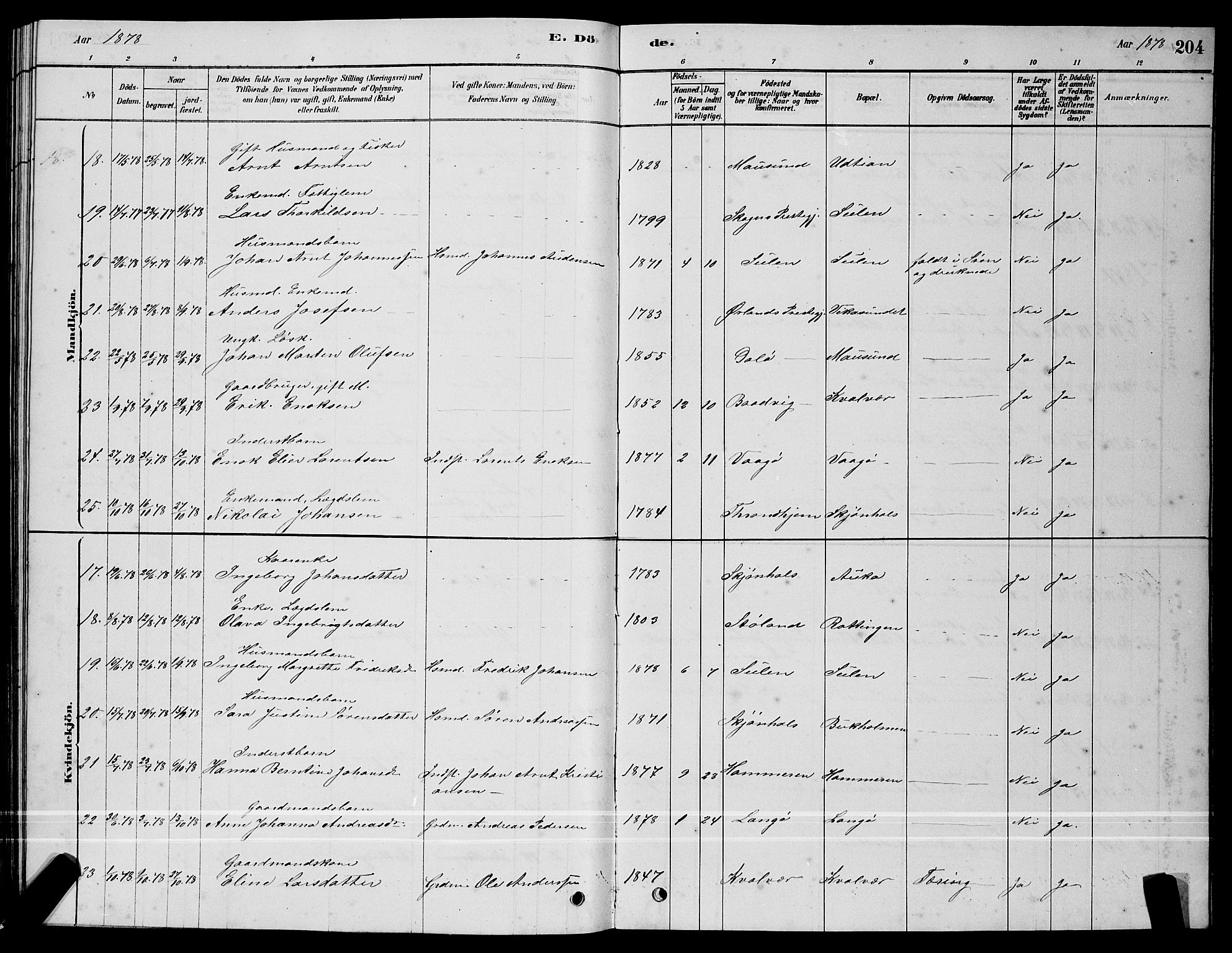 Ministerialprotokoller, klokkerbøker og fødselsregistre - Sør-Trøndelag, AV/SAT-A-1456/640/L0585: Parish register (copy) no. 640C03, 1878-1891, p. 204