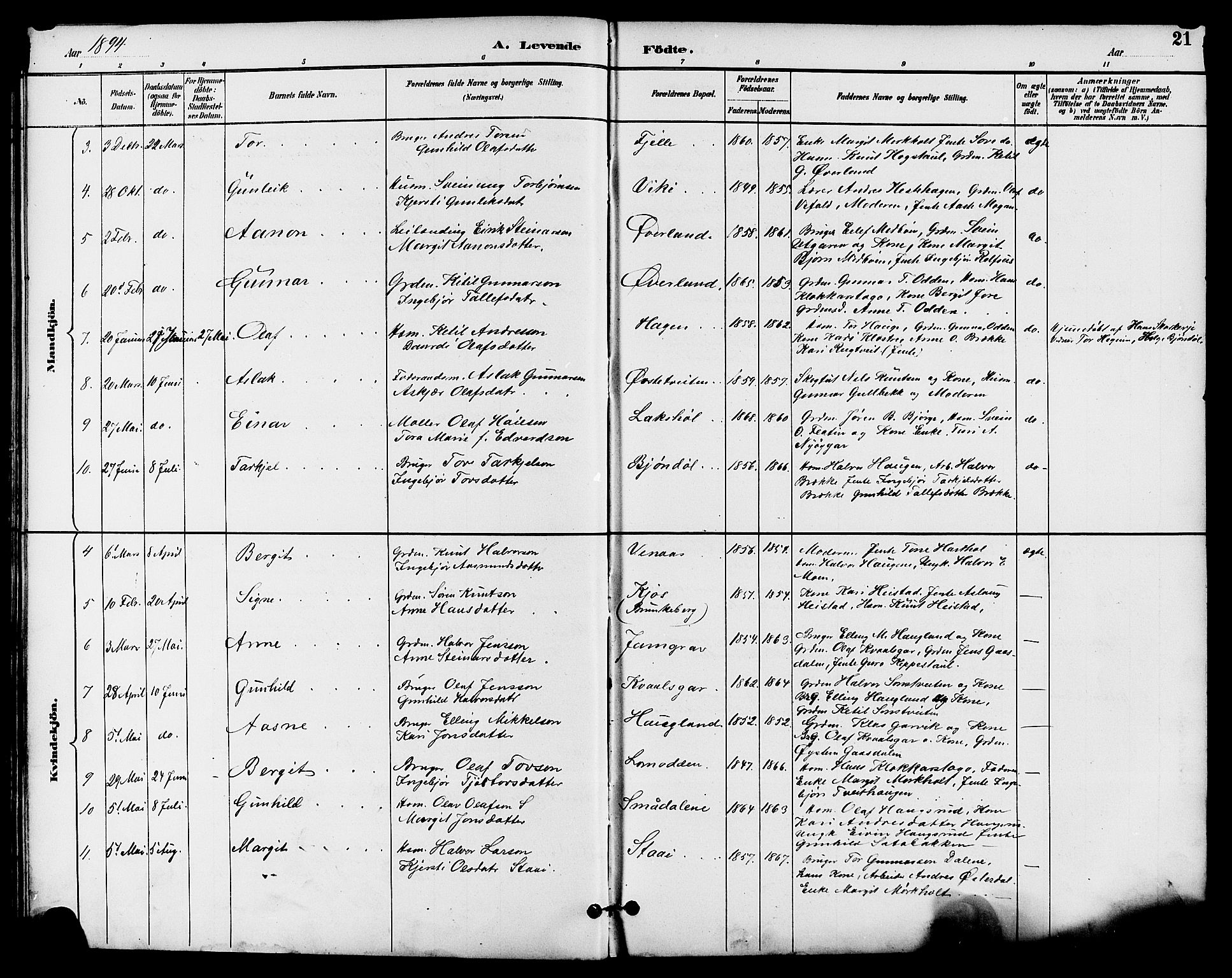 Seljord kirkebøker, SAKO/A-20/G/Ga/L0005: Parish register (copy) no. I 5, 1887-1914, p. 21