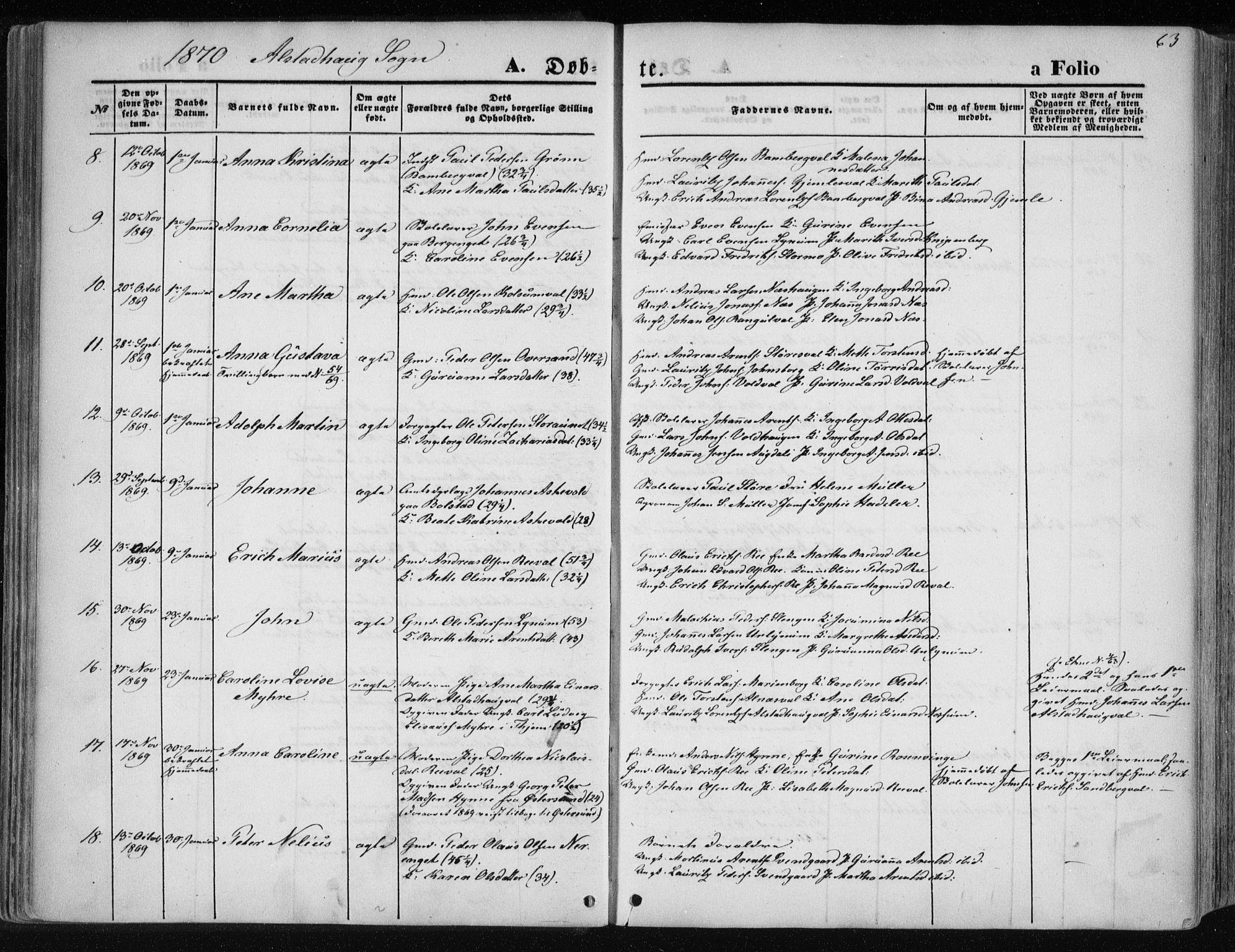 Ministerialprotokoller, klokkerbøker og fødselsregistre - Nord-Trøndelag, SAT/A-1458/717/L0157: Parish register (official) no. 717A08 /1, 1863-1877, p. 63