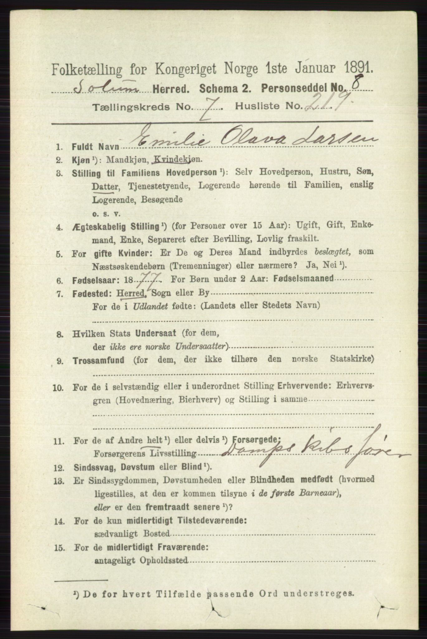 RA, 1891 census for 0818 Solum, 1891, p. 4007