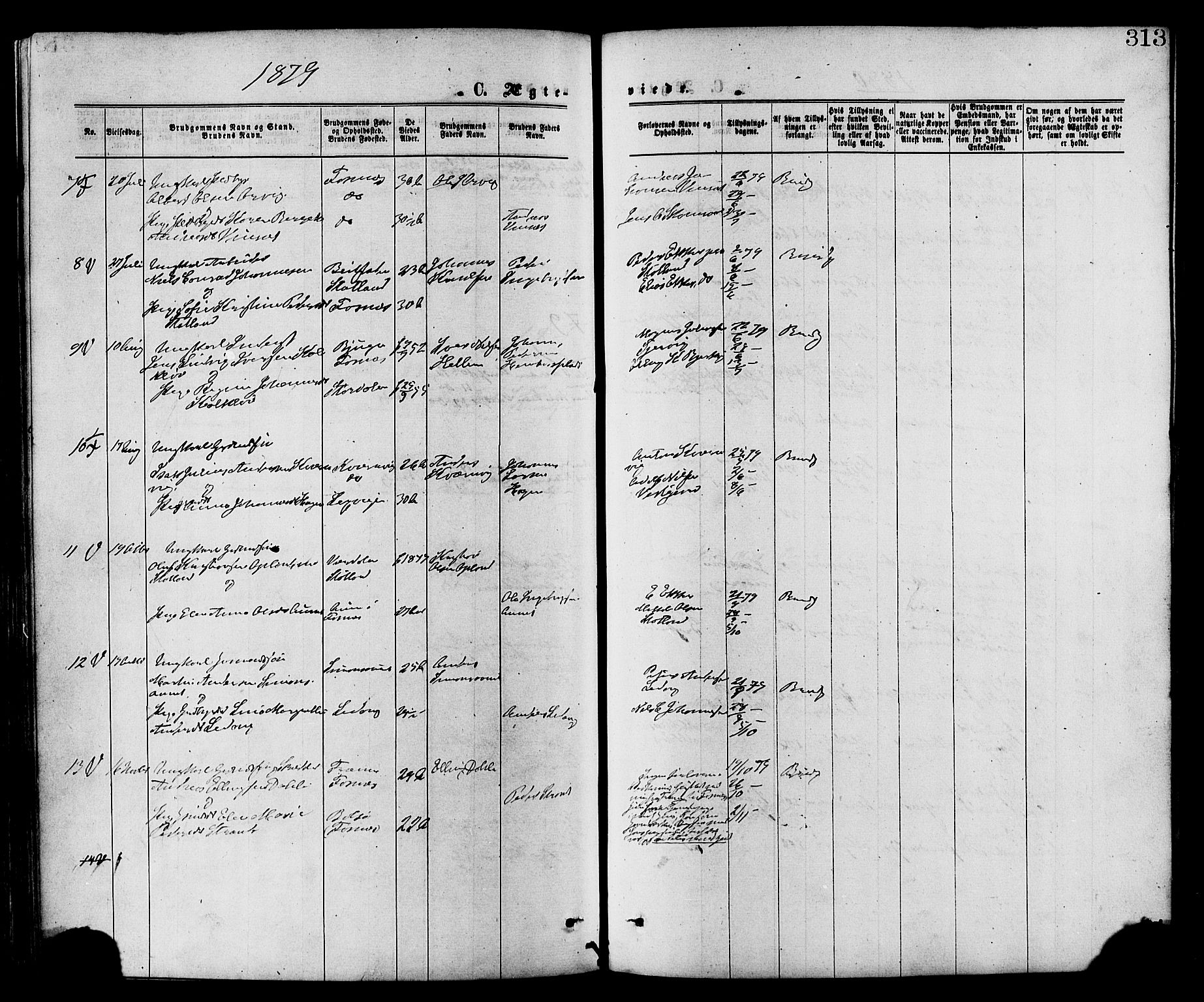 Ministerialprotokoller, klokkerbøker og fødselsregistre - Nord-Trøndelag, SAT/A-1458/773/L0616: Parish register (official) no. 773A07, 1870-1887, p. 313
