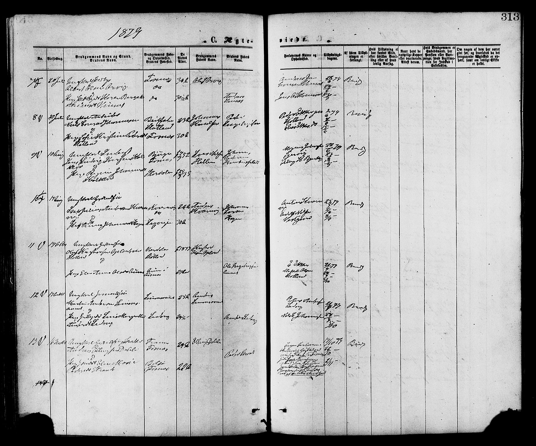 Ministerialprotokoller, klokkerbøker og fødselsregistre - Nord-Trøndelag, AV/SAT-A-1458/773/L0616: Parish register (official) no. 773A07, 1870-1887, p. 313