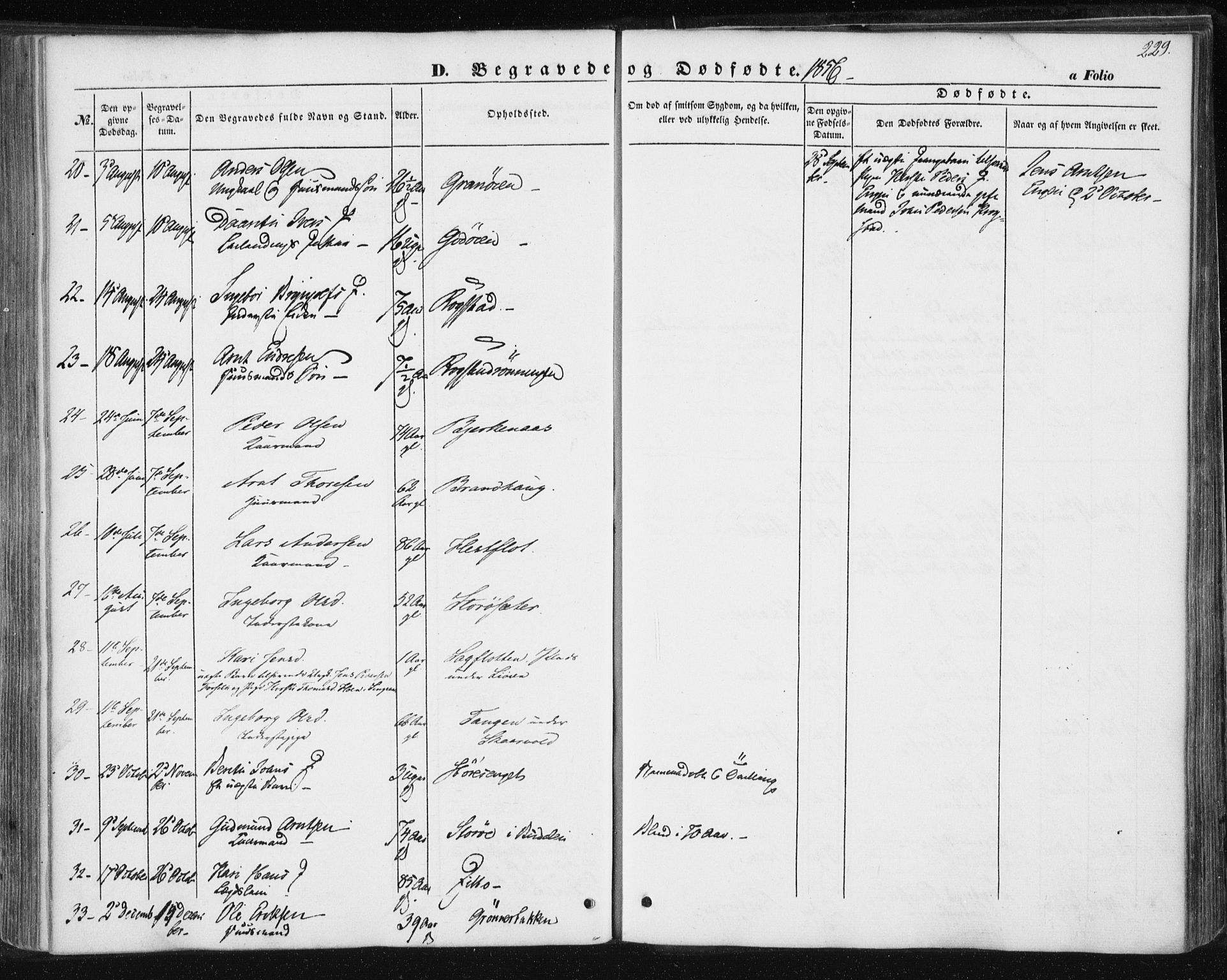 Ministerialprotokoller, klokkerbøker og fødselsregistre - Sør-Trøndelag, SAT/A-1456/687/L1000: Parish register (official) no. 687A06, 1848-1869, p. 229