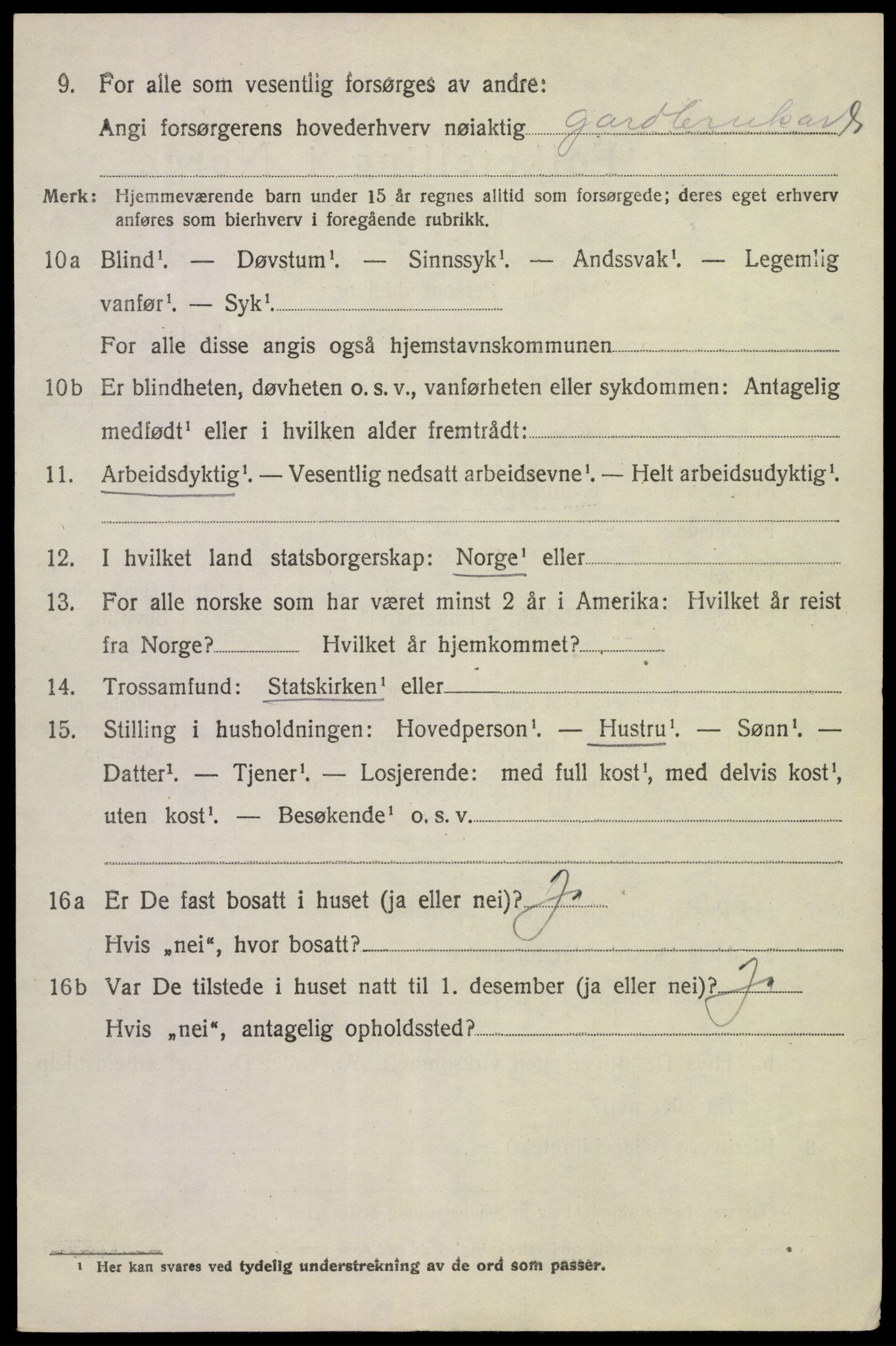 SAKO, 1920 census for Tinn, 1920, p. 3037