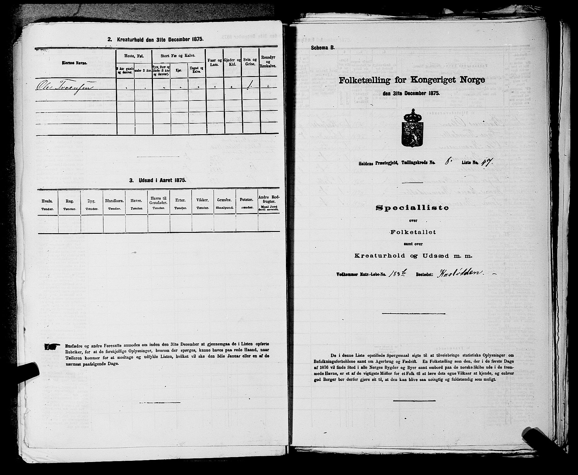 SAKO, 1875 census for 0819P Holla, 1875, p. 1058