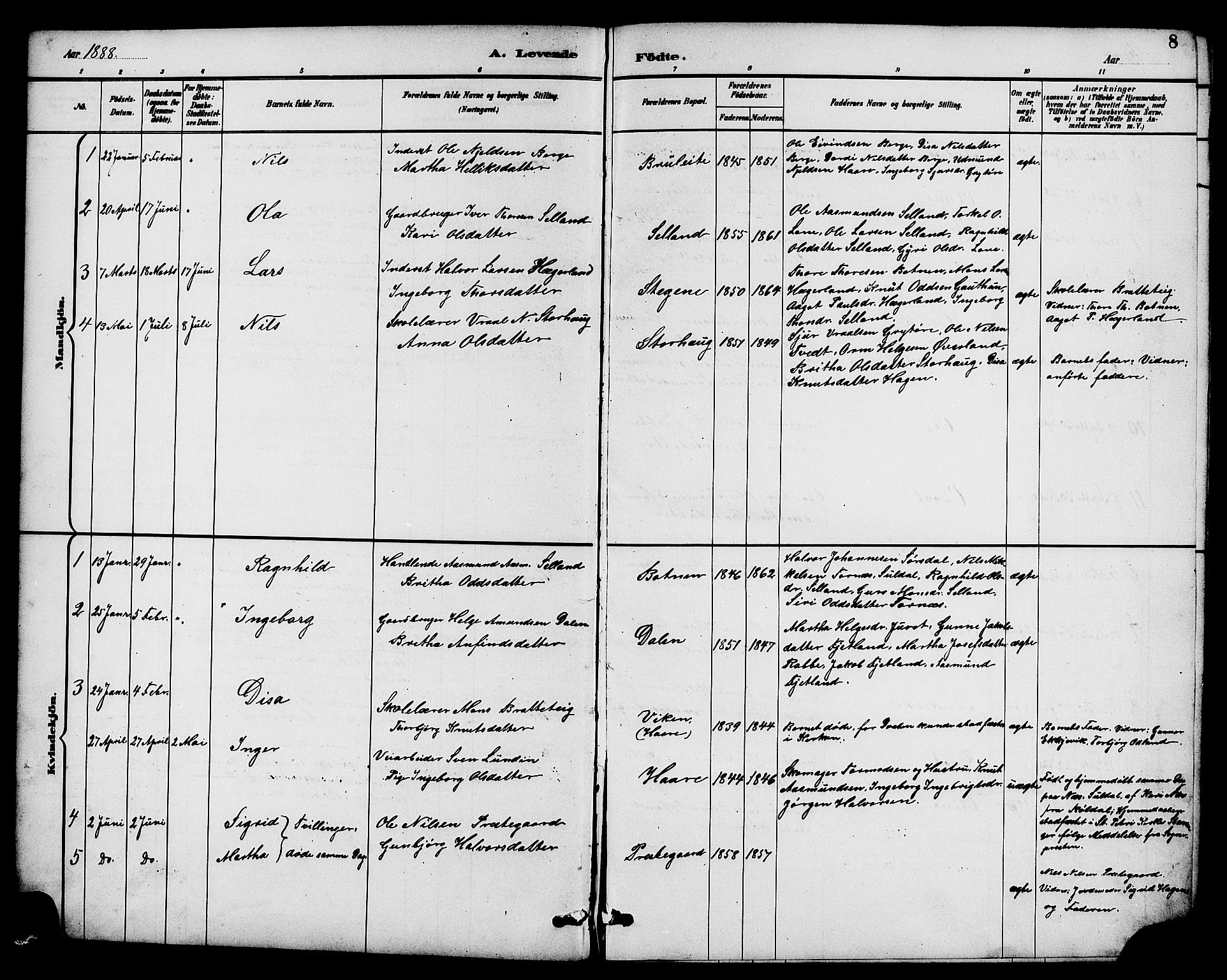Røldal sokneprestembete, SAB/A-100247: Parish register (copy) no. A 3, 1887-1917, p. 8