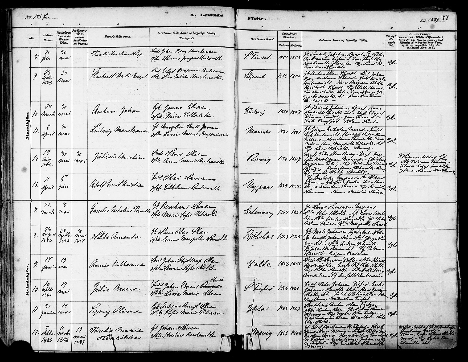 Ministerialprotokoller, klokkerbøker og fødselsregistre - Nordland, AV/SAT-A-1459/805/L0099: Parish register (official) no. 805A06, 1880-1891, p. 77