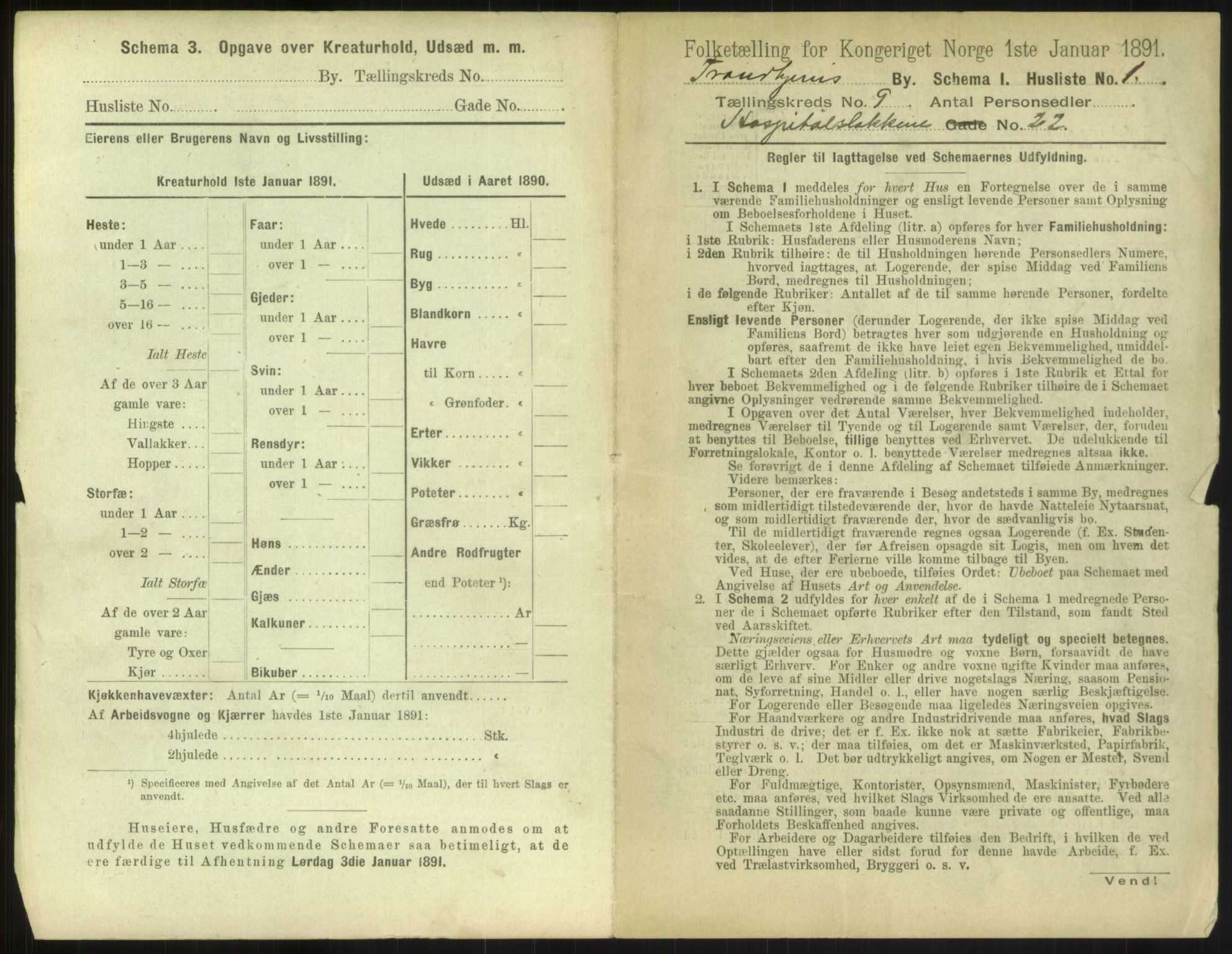 RA, 1891 census for 1601 Trondheim, 1891, p. 1026