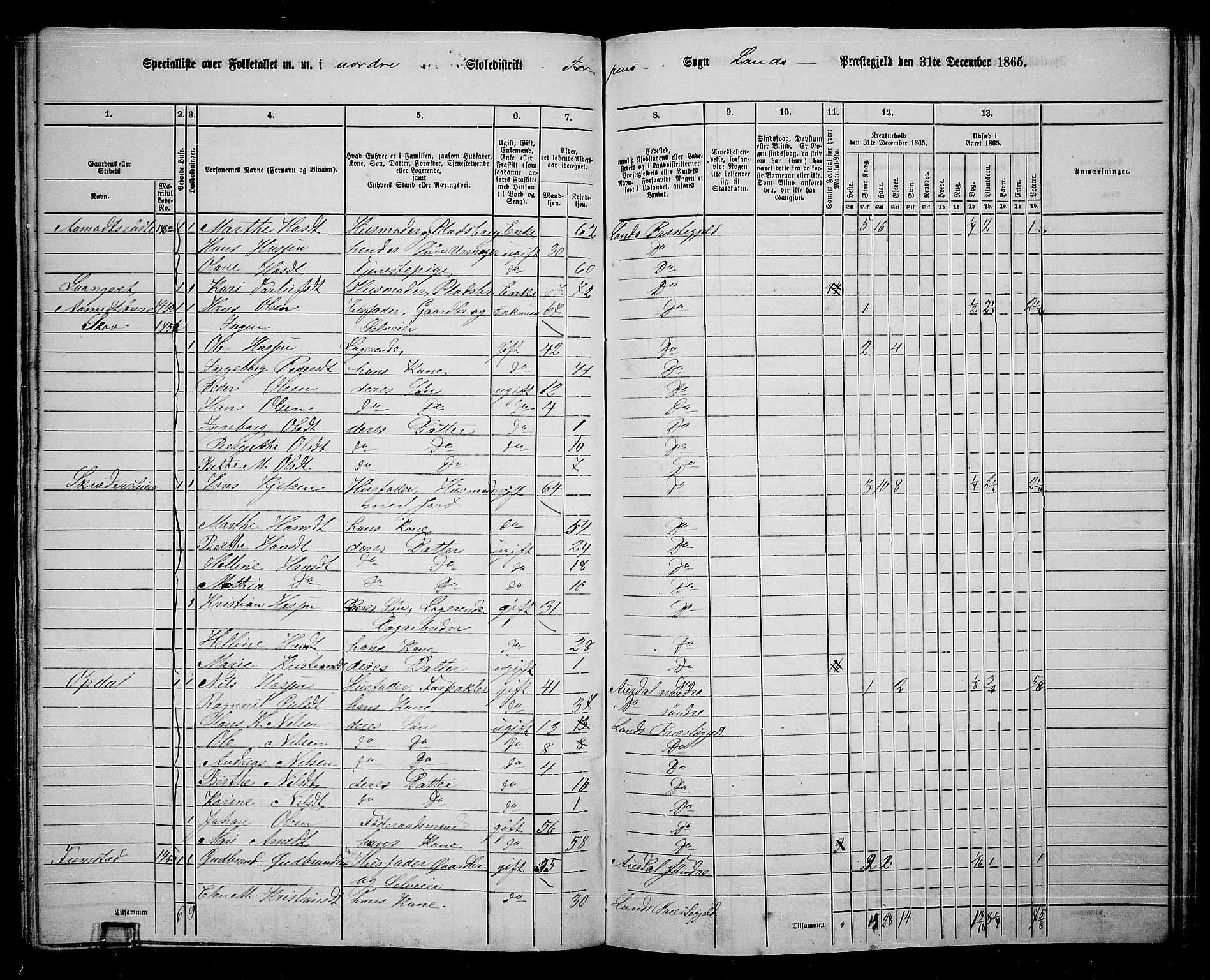 RA, 1865 census for Land, 1865, p. 152