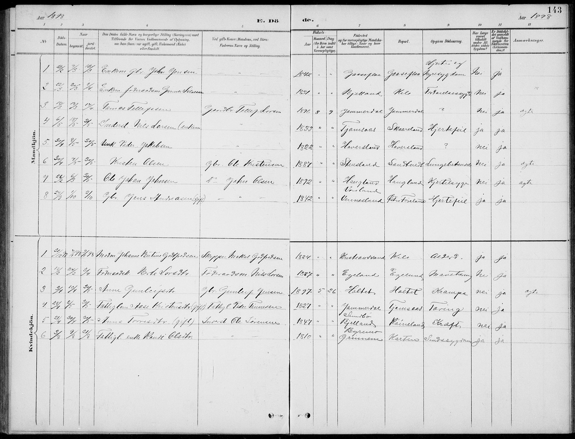 Vennesla sokneprestkontor, AV/SAK-1111-0045/Fb/Fba/L0003: Parish register (copy) no. B 3, 1890-1919, p. 143