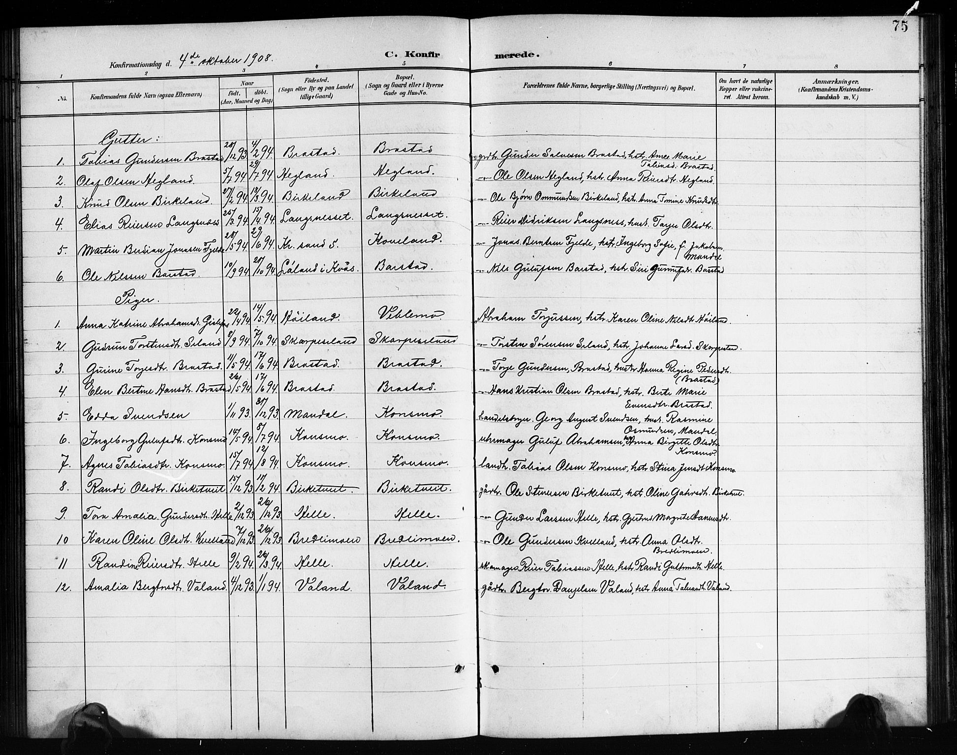 Nord-Audnedal sokneprestkontor, AV/SAK-1111-0032/F/Fb/Fba/L0004: Parish register (copy) no. B 4, 1901-1917, p. 75