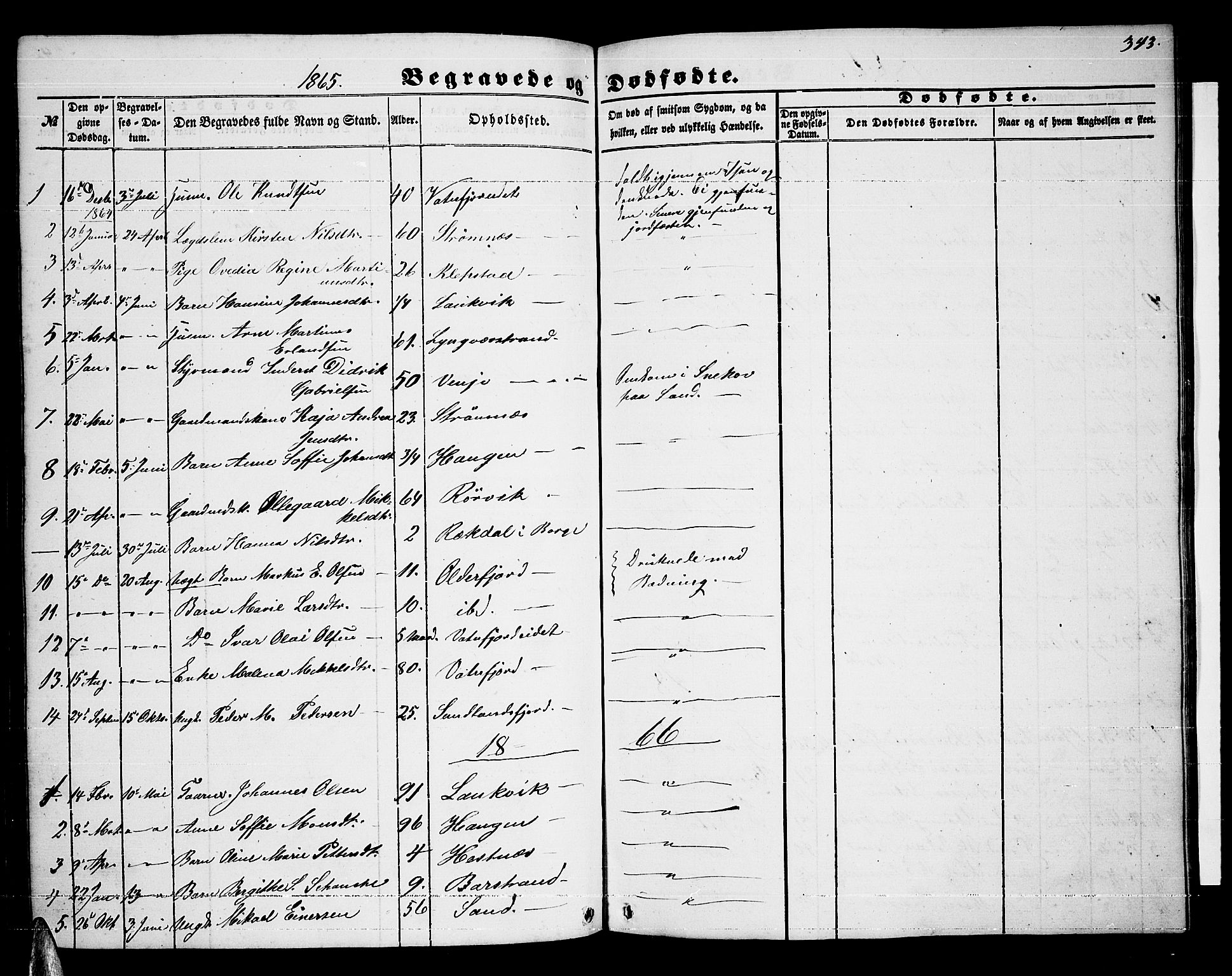 Ministerialprotokoller, klokkerbøker og fødselsregistre - Nordland, AV/SAT-A-1459/876/L1102: Parish register (copy) no. 876C01, 1852-1886, p. 343