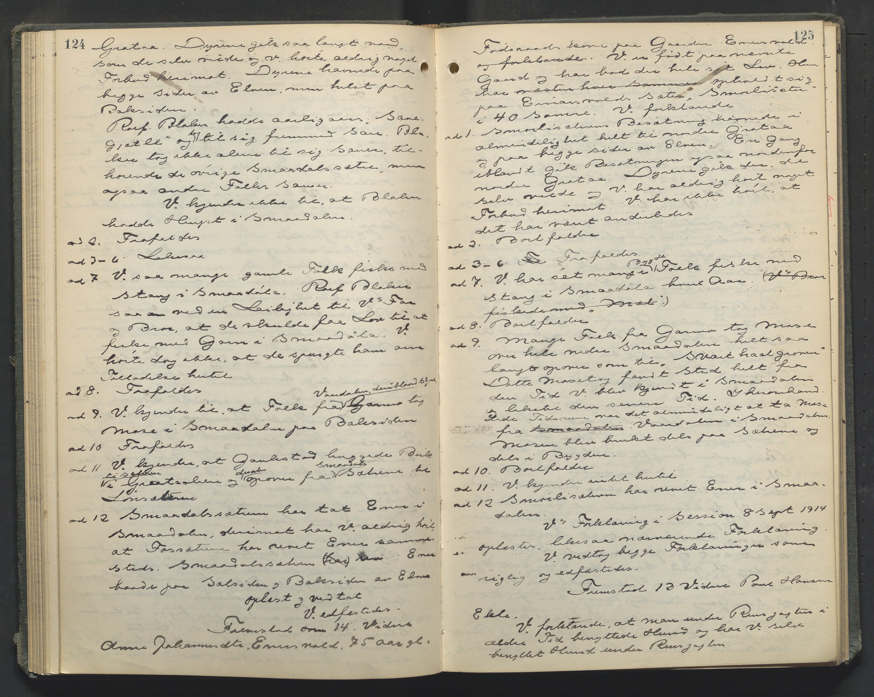 Nord-Gudbrandsdal tingrett, AV/SAH-TING-002/G/Gc/Gcb/L0010: Ekstrarettsprotokoll for åstedssaker, 1913-1920, p. 124-125
