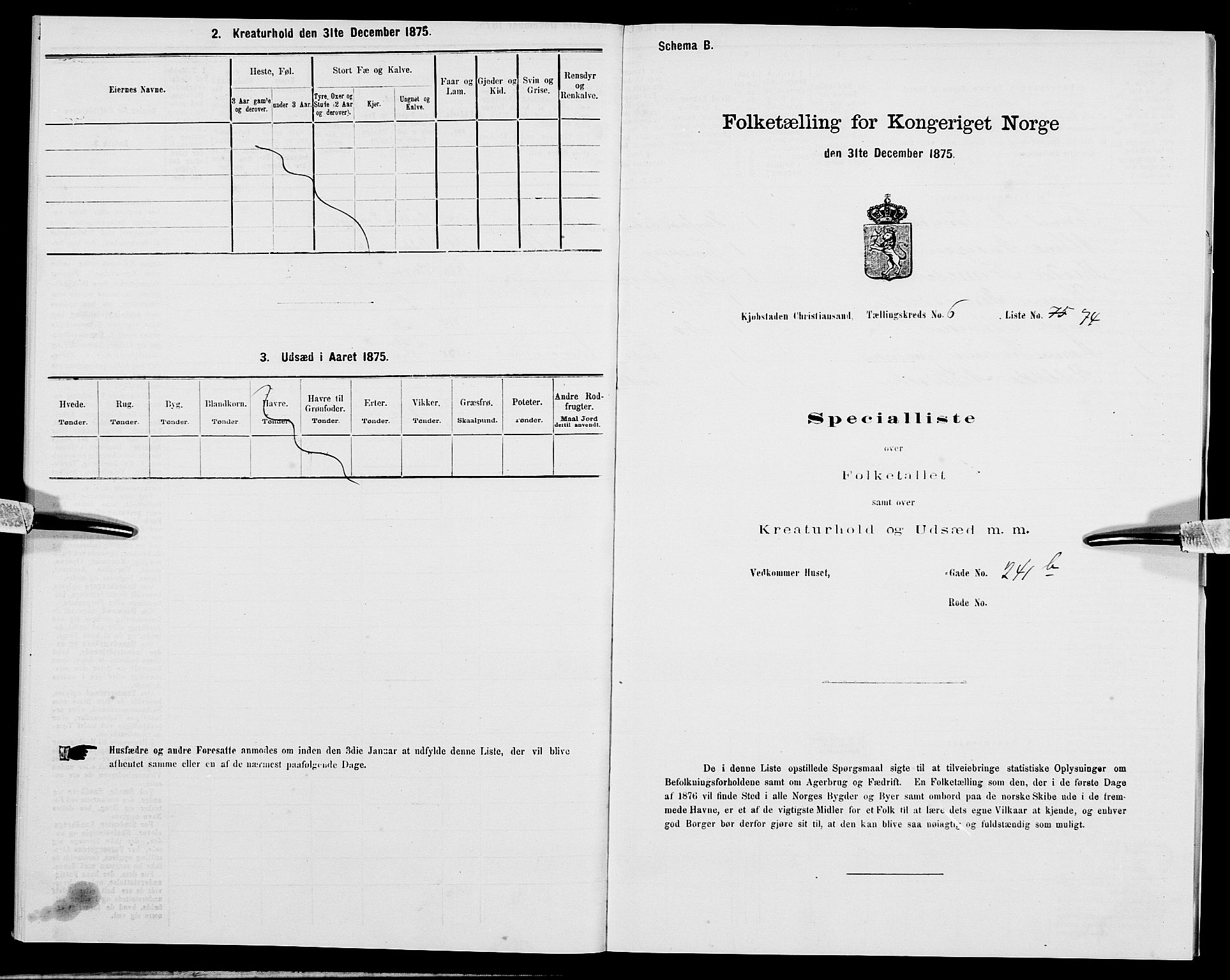 SAK, 1875 census for 1001P Kristiansand, 1875, p. 909