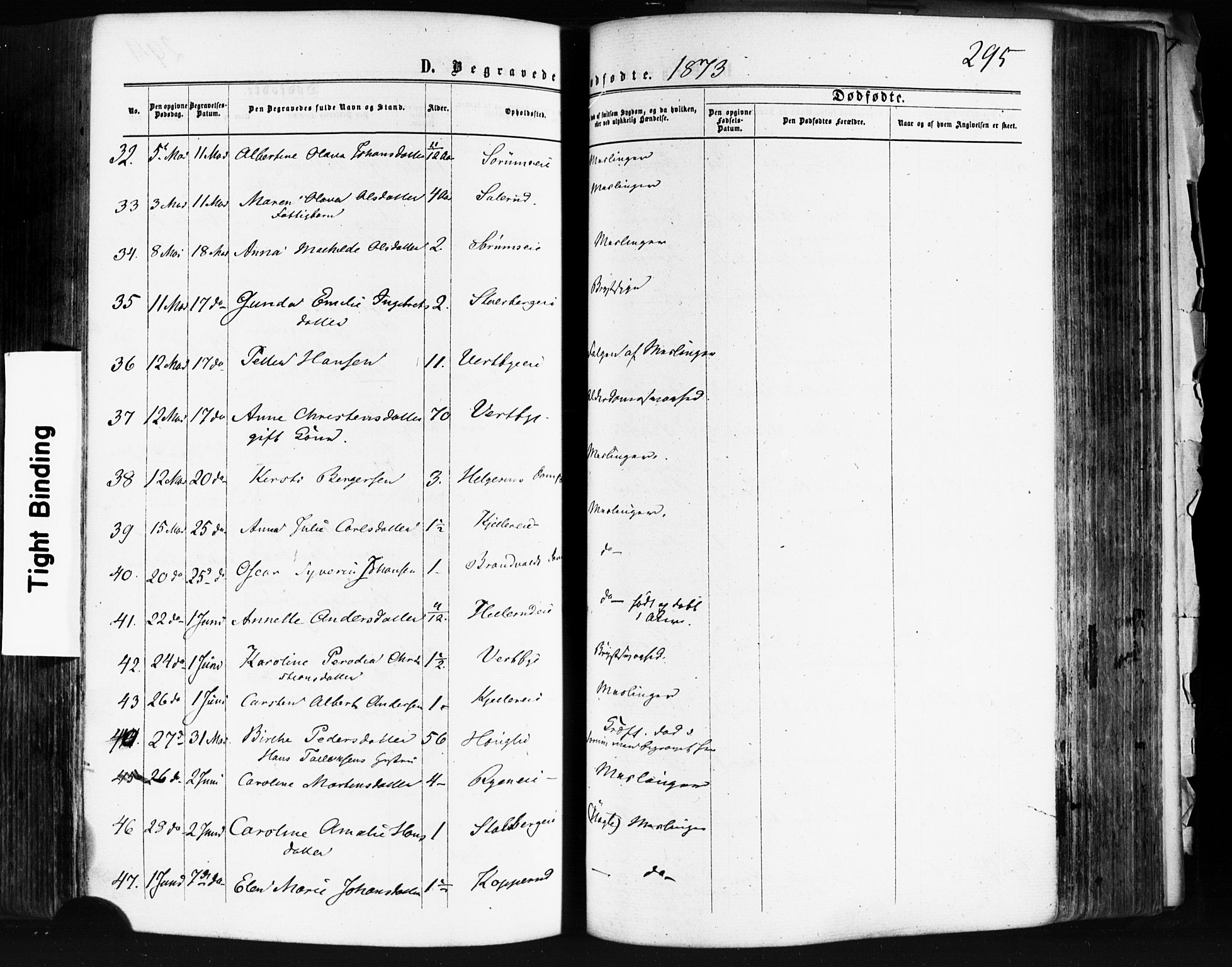 Skedsmo prestekontor Kirkebøker, AV/SAO-A-10033a/F/Fa/L0011: Parish register (official) no. I 11, 1866-1876, p. 295