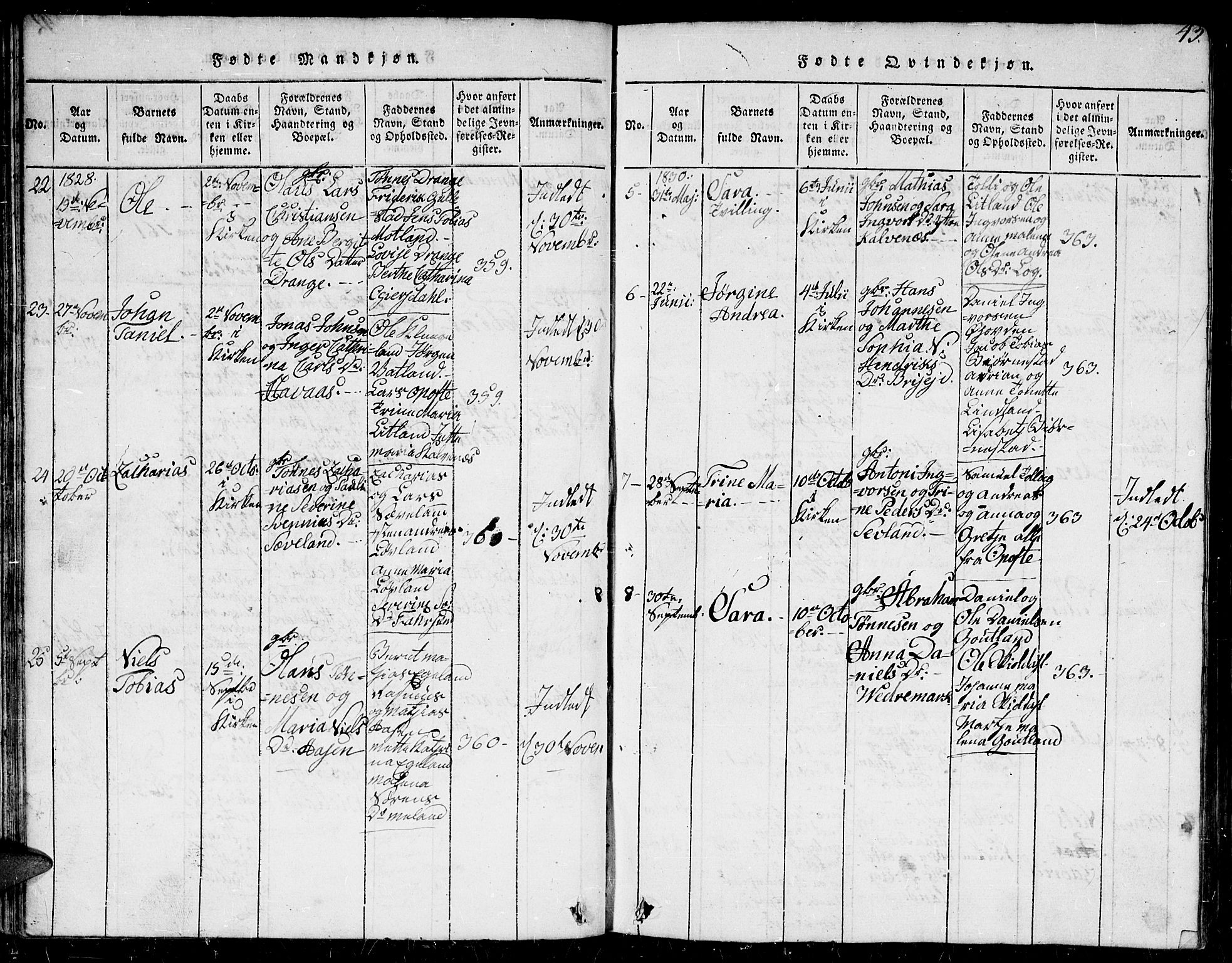 Herad sokneprestkontor, AV/SAK-1111-0018/F/Fb/Fba/L0001: Parish register (copy) no. B 1, 1815-1852, p. 43