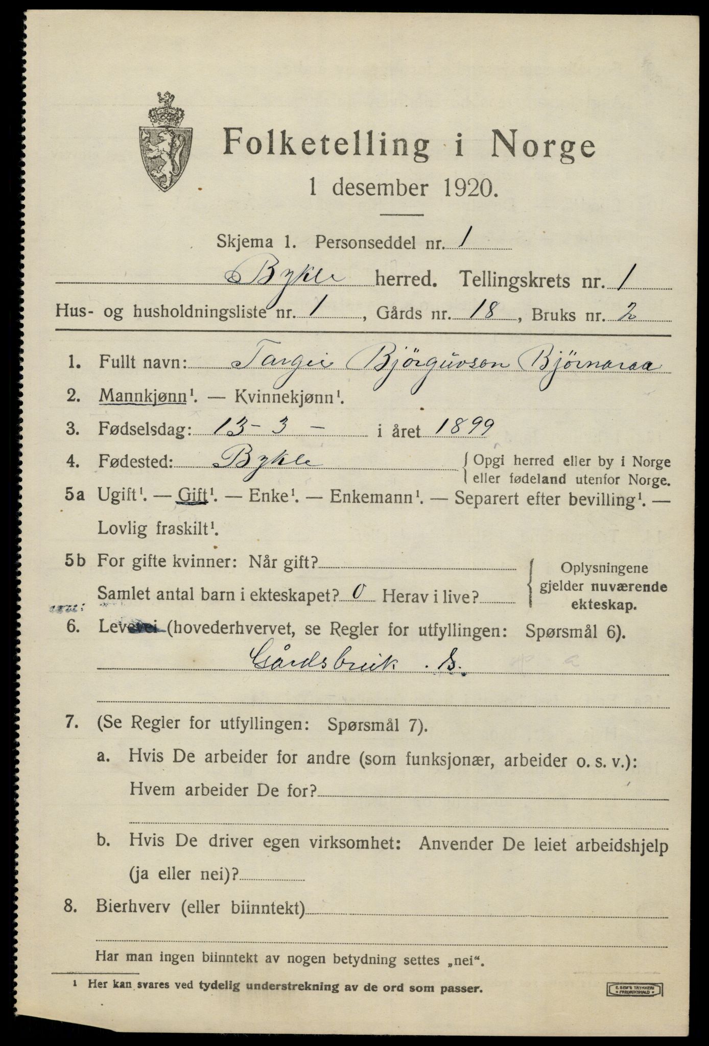 SAK, 1920 census for Bykle, 1920, p. 217