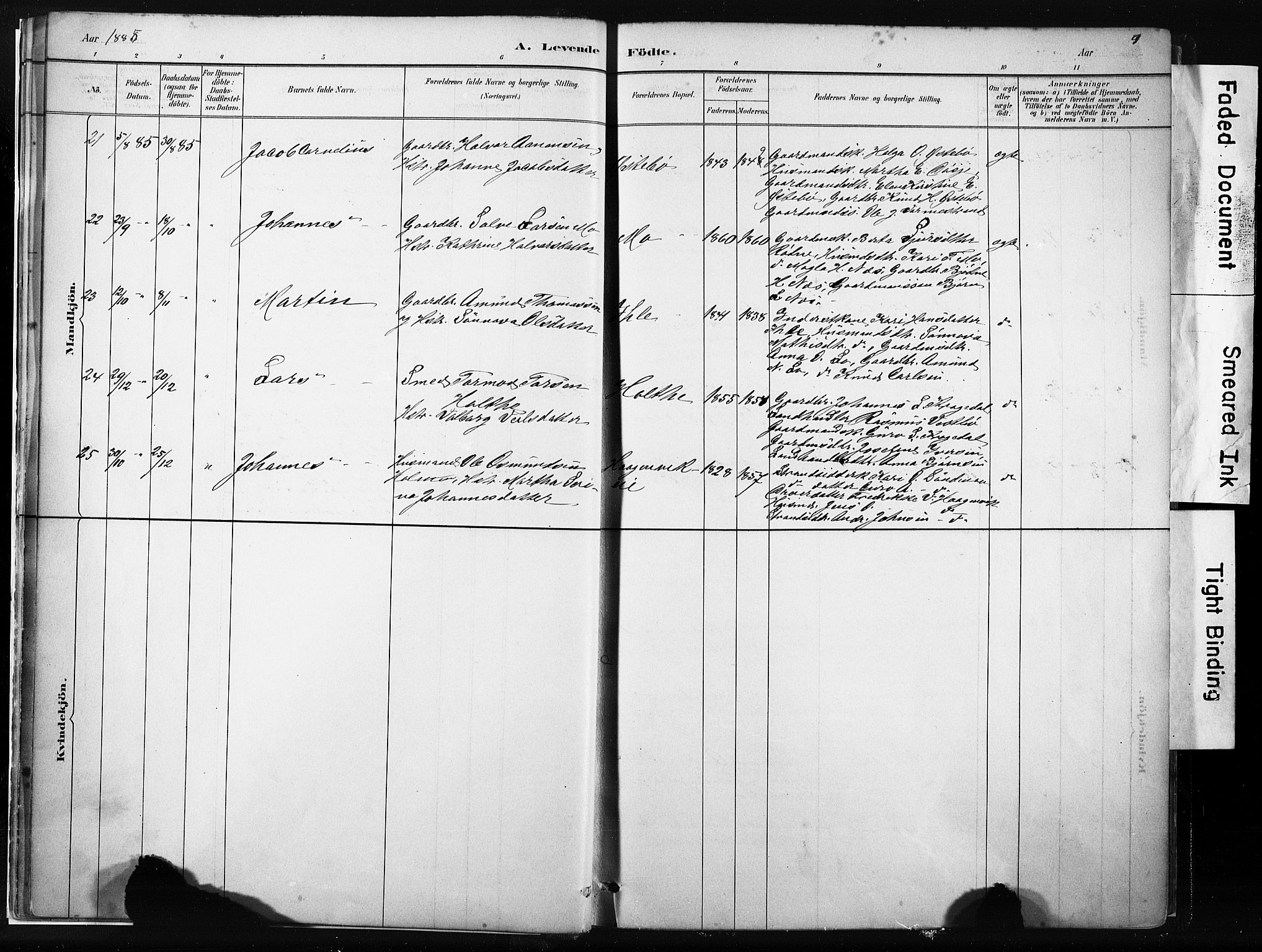 Vikedal sokneprestkontor, AV/SAST-A-101840/01/IV: Parish register (official) no. A 10, 1884-1907, p. 9