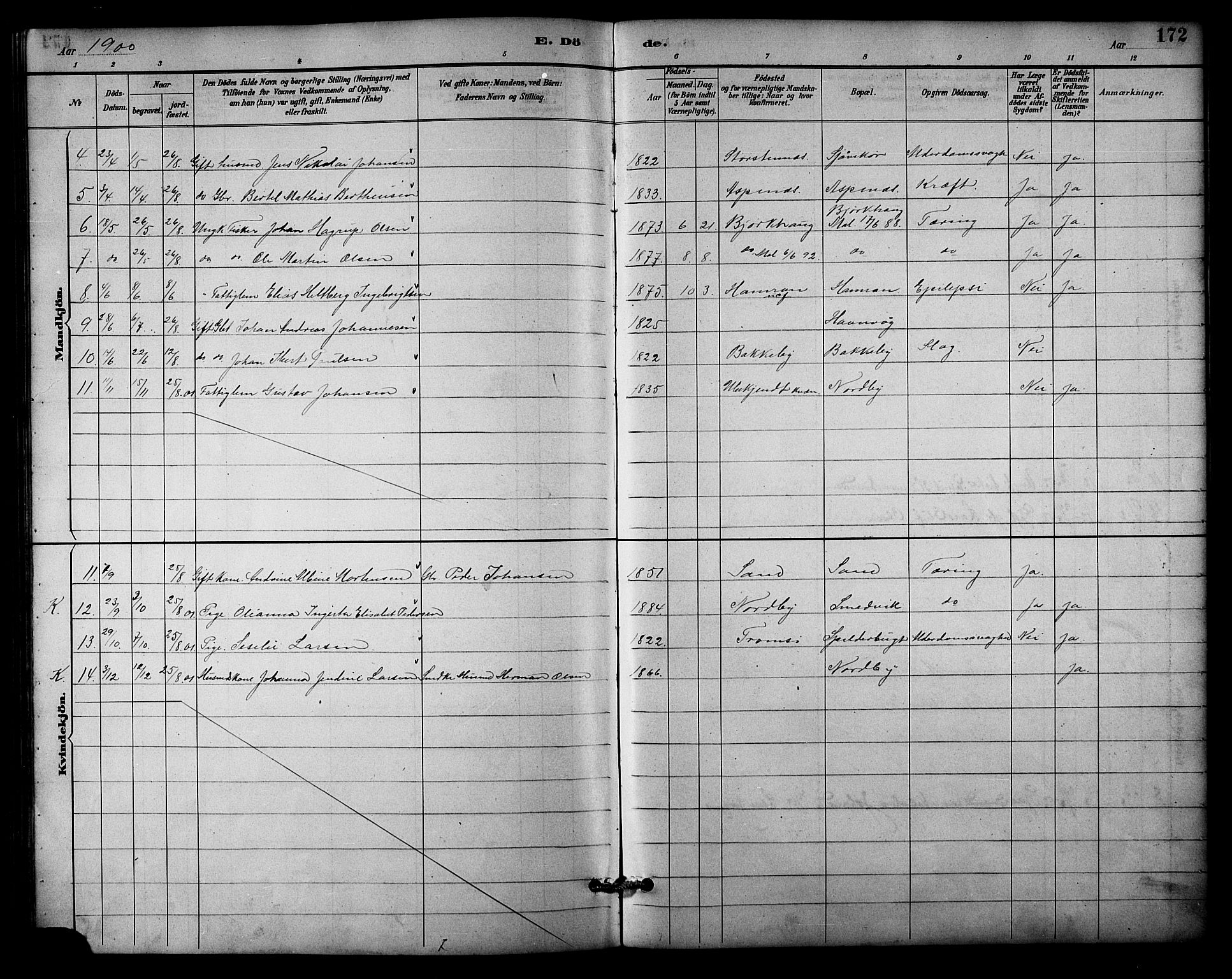 Balsfjord sokneprestembete, SATØ/S-1303/G/Ga/L0003klokker: Parish register (copy) no. 3, 1887-1909, p. 172