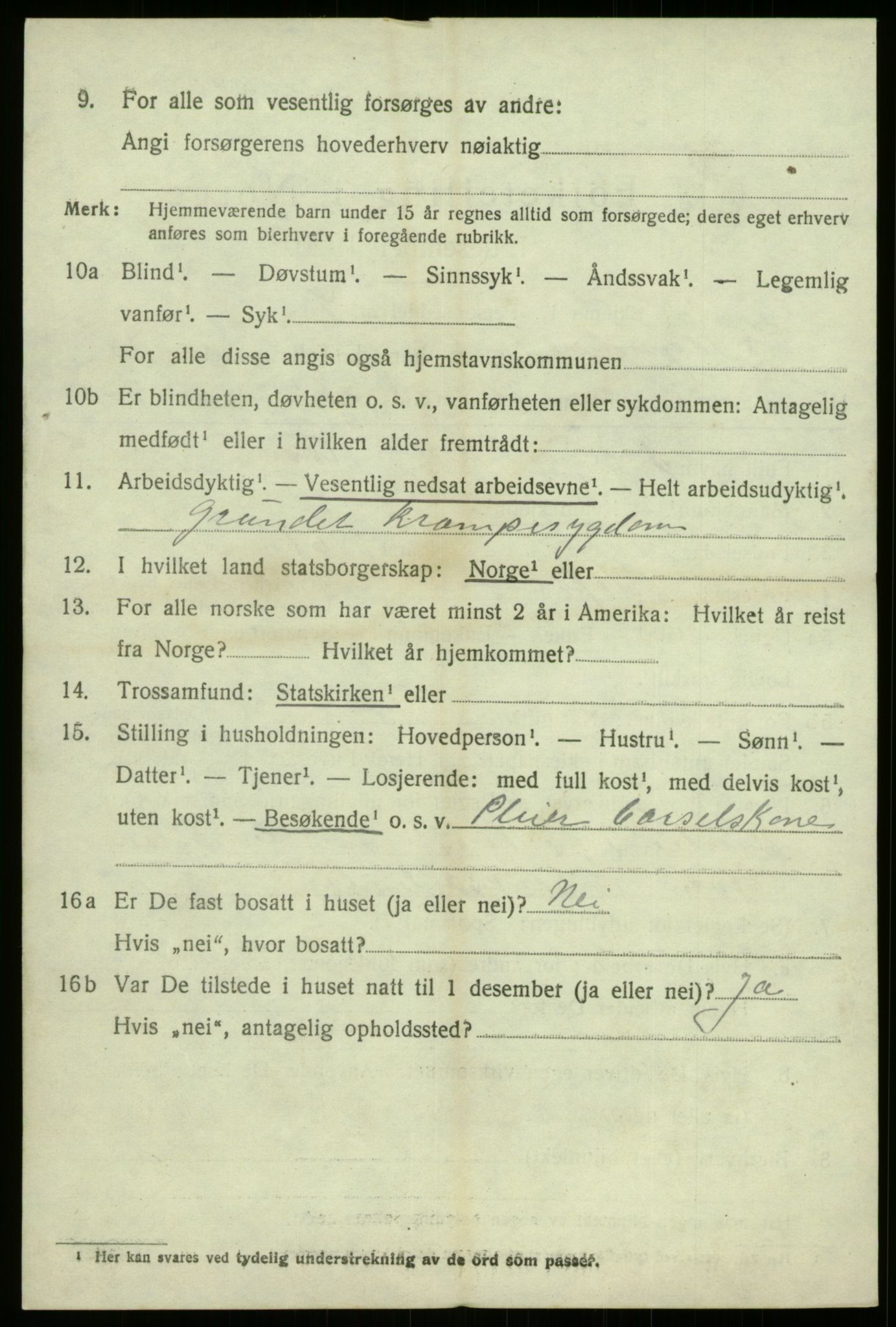 SAB, 1920 census for Sogndal, 1920, p. 6064