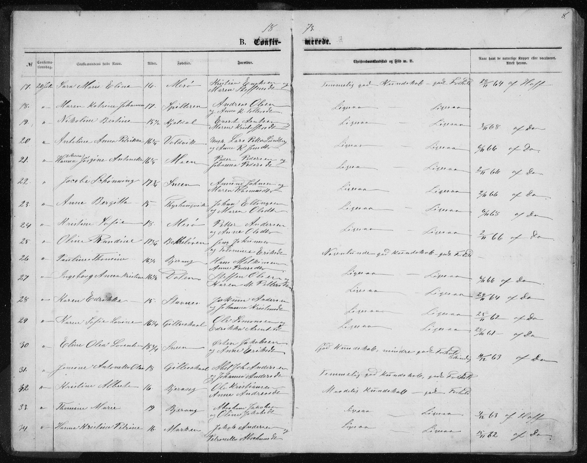 Ministerialprotokoller, klokkerbøker og fødselsregistre - Nordland, AV/SAT-A-1459/843/L0635: Parish register (copy) no. 843C04, 1872-1887, p. 8