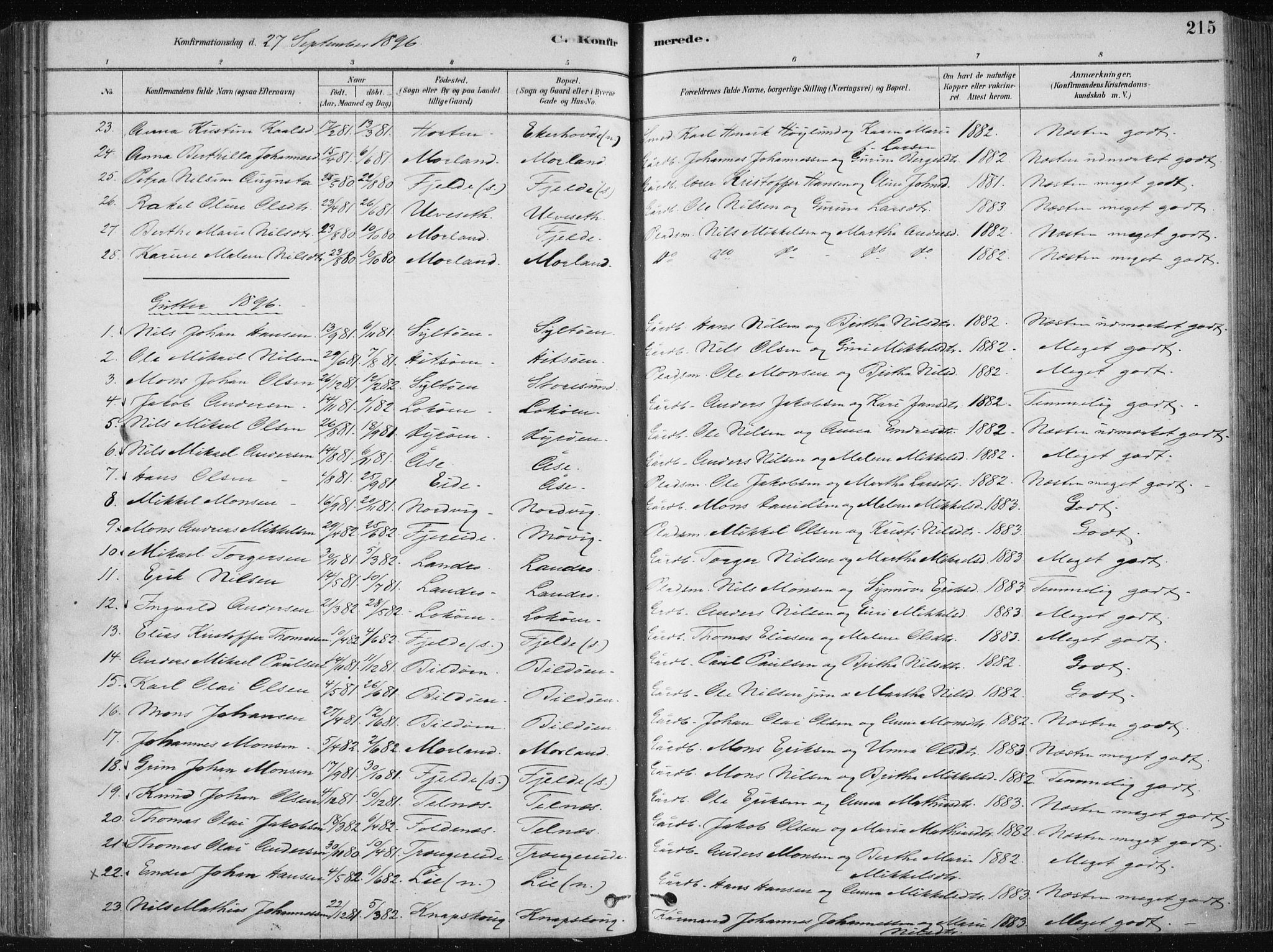 Fjell sokneprestembete, SAB/A-75301/H/Haa: Parish register (official) no. A  8, 1878-1898, p. 215