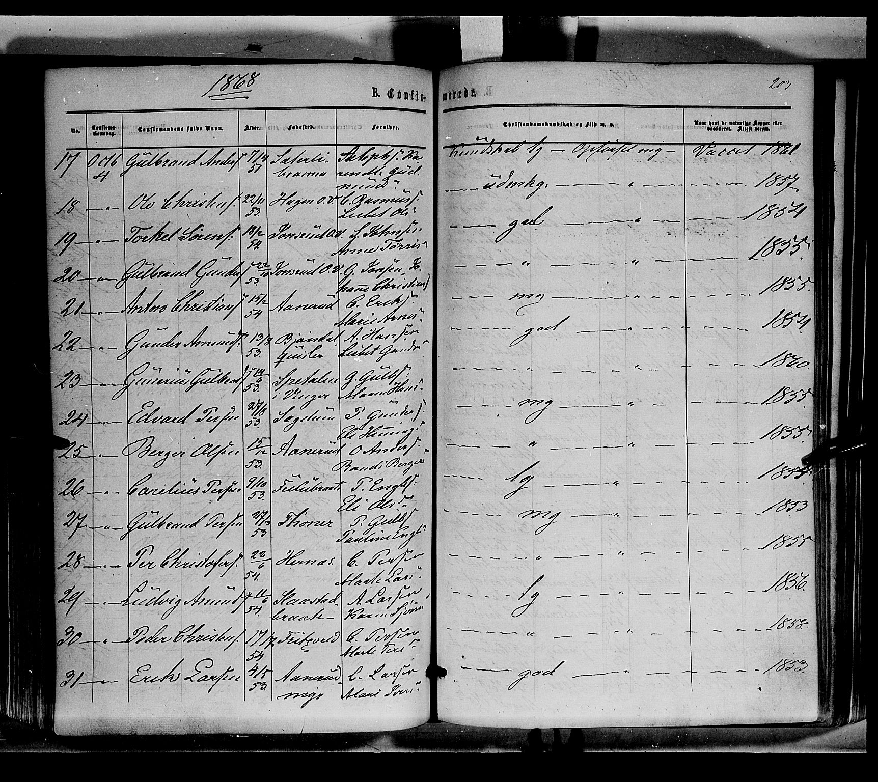 Sør-Odal prestekontor, AV/SAH-PREST-030/H/Ha/Haa/L0003: Parish register (official) no. 3, 1864-1870, p. 203