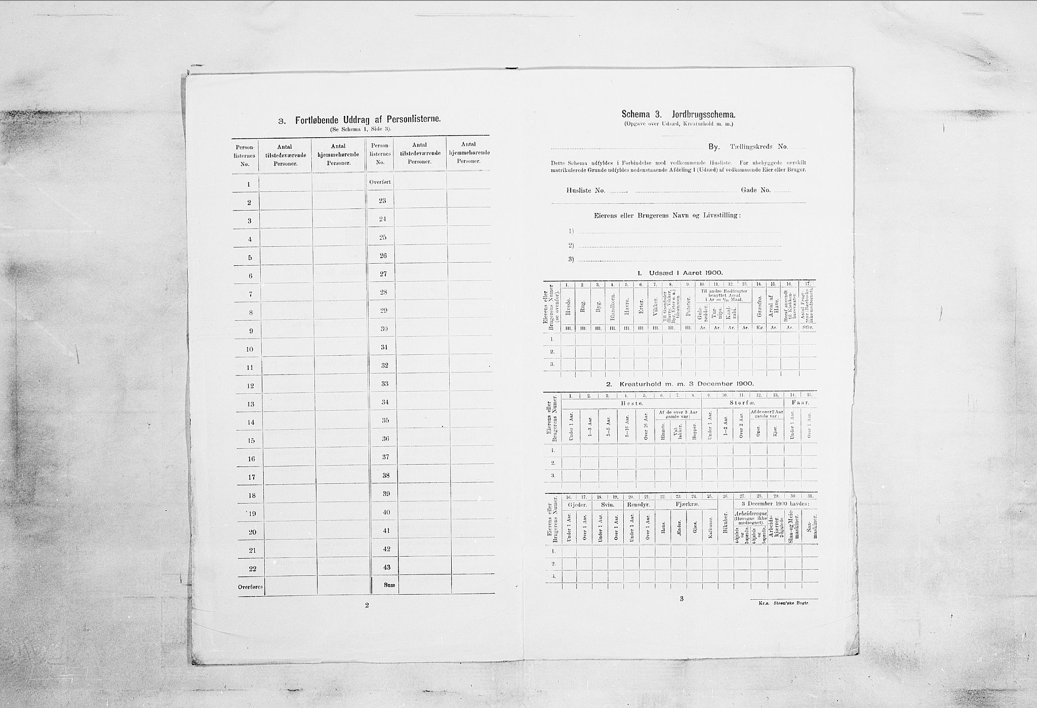 SAKO, 1900 census for Brevik, 1900, p. 697