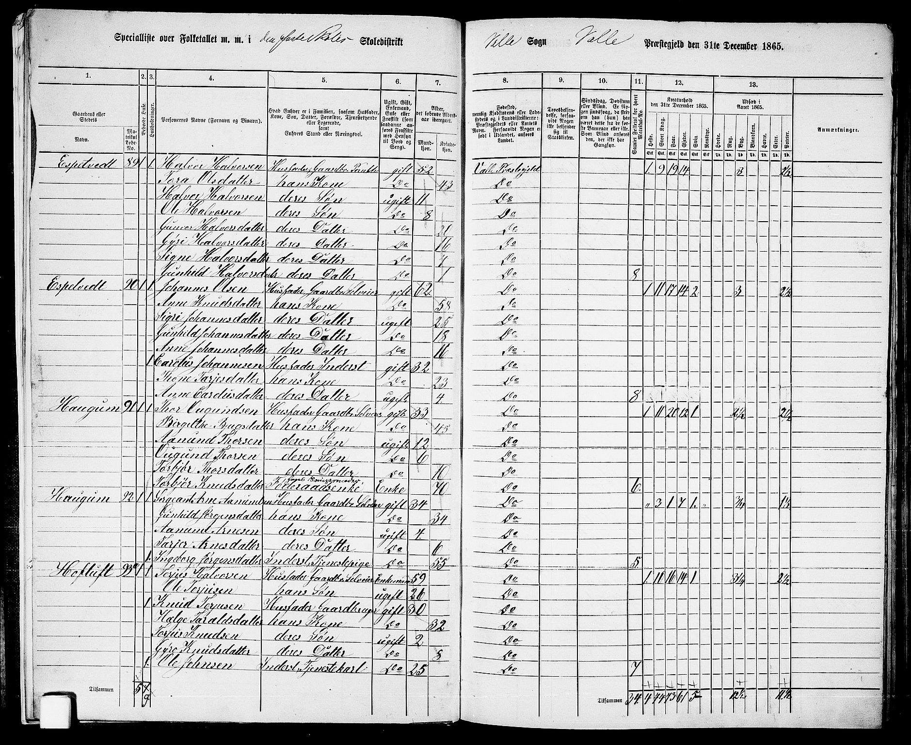RA, 1865 census for Valle, 1865, p. 11
