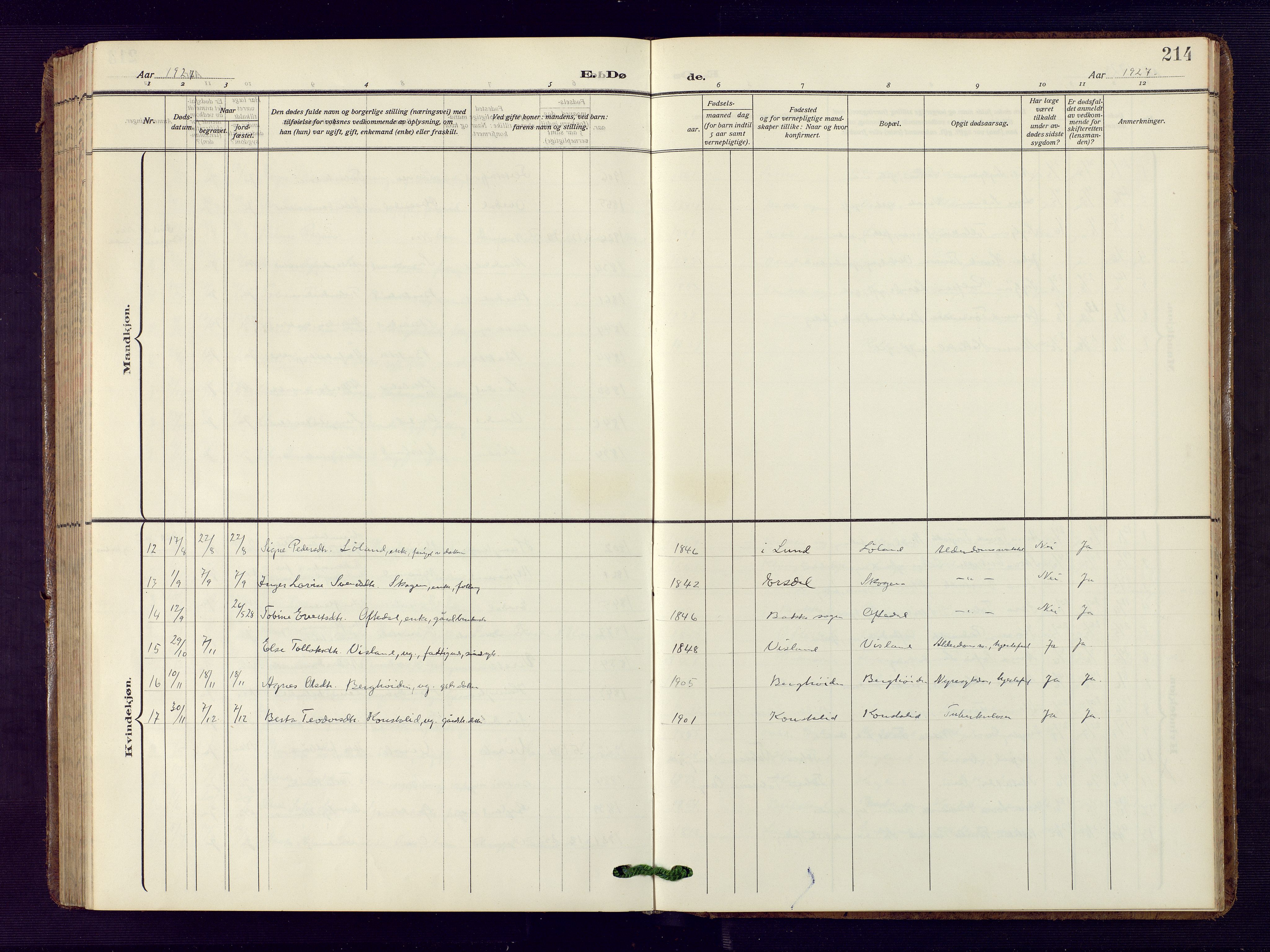 Bakke sokneprestkontor, SAK/1111-0002/F/Fb/Fba/L0004: Parish register (copy) no. B 4, 1911-1946, p. 214