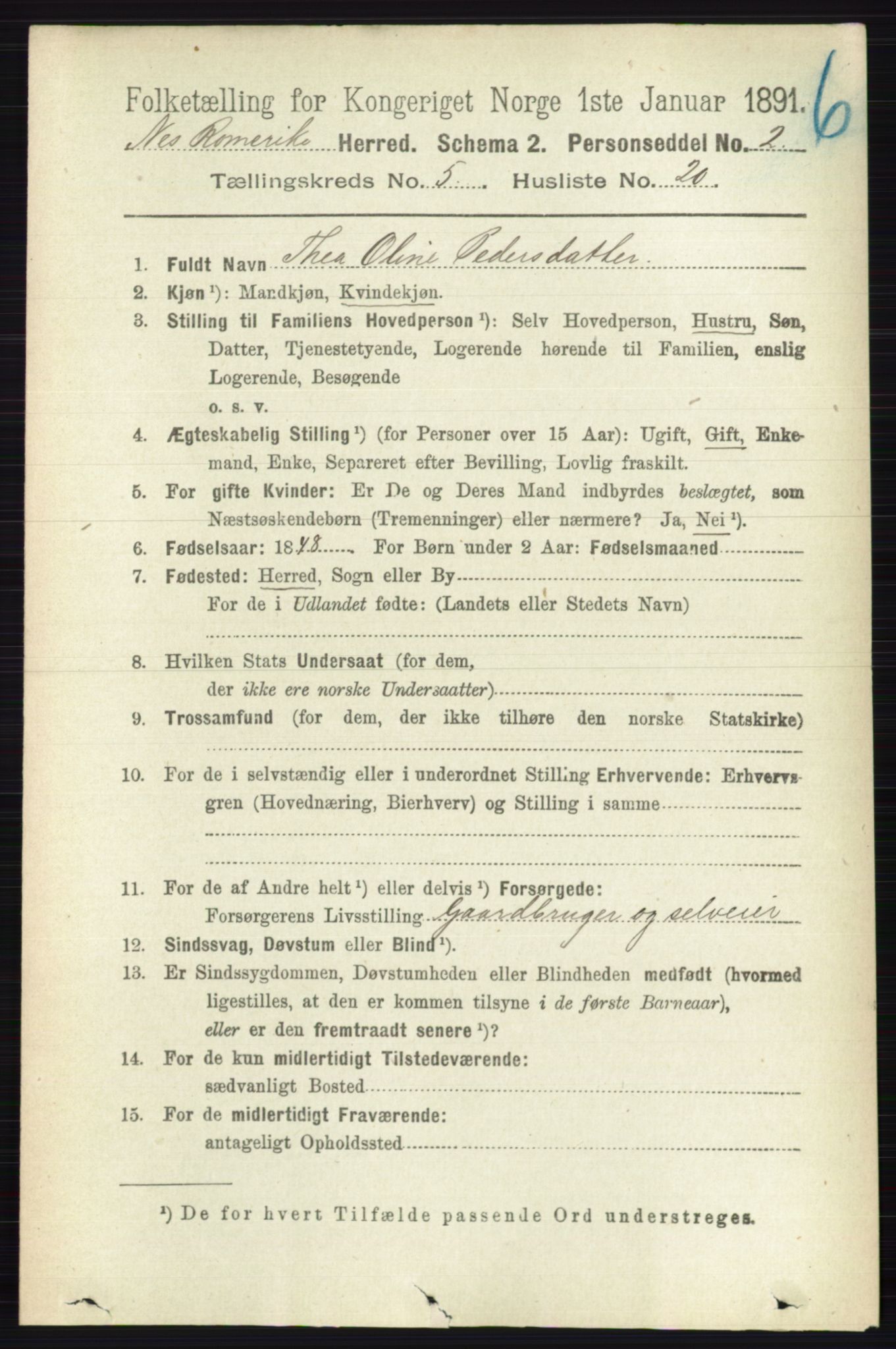 RA, 1891 census for 0236 Nes, 1891, p. 2897
