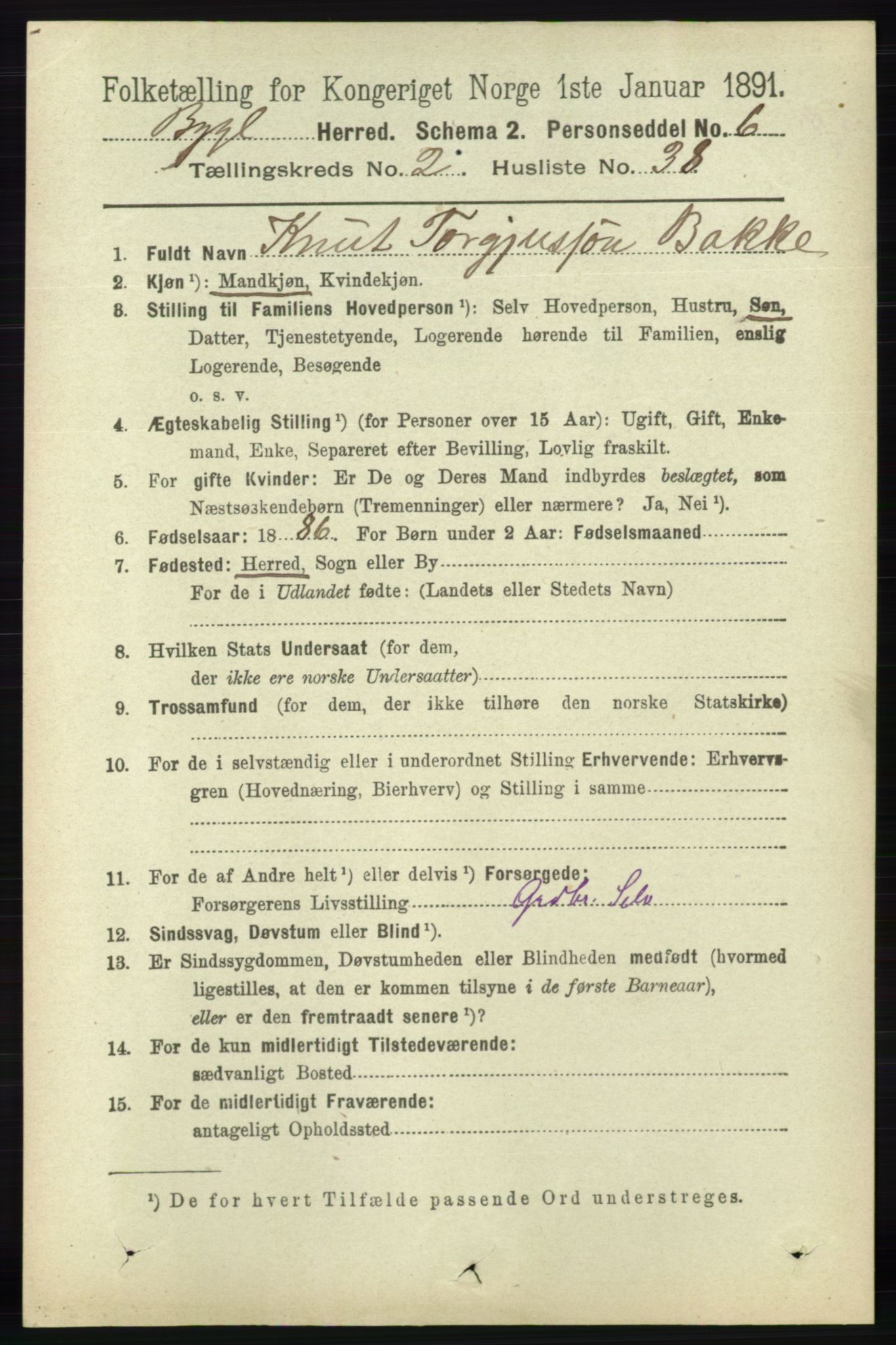 RA, 1891 census for 0938 Bygland, 1891, p. 513