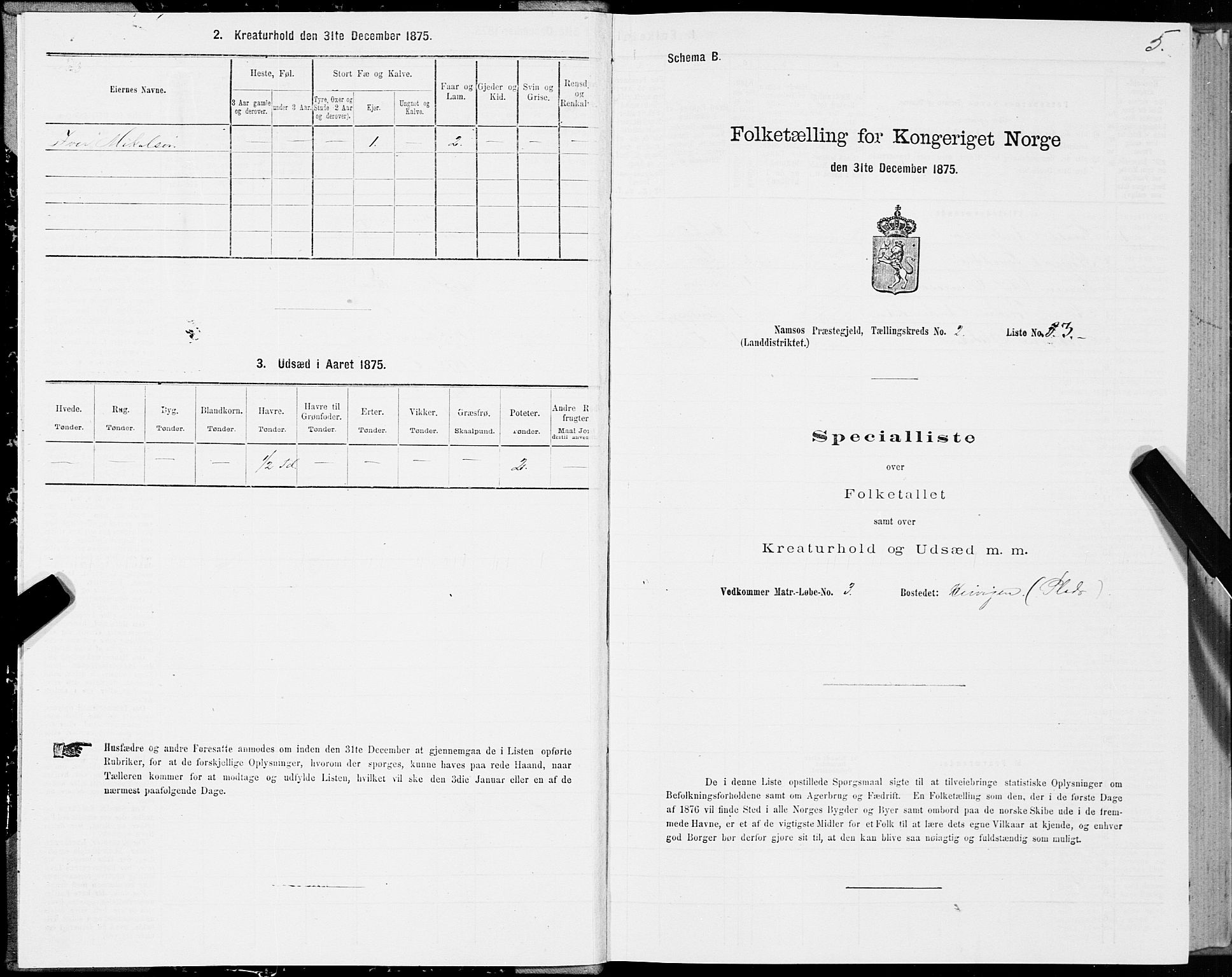 SAT, 1875 census for 1745L Namsos/Vemundvik og Sævik, 1875, p. 2005