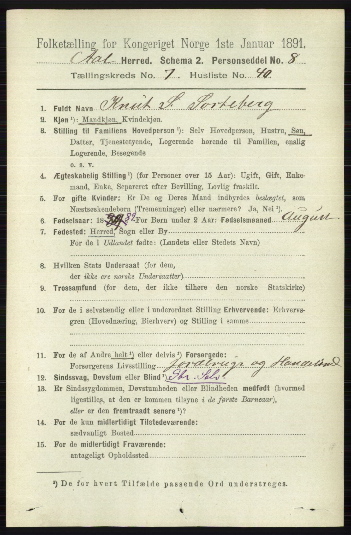 RA, 1891 census for 0619 Ål, 1891, p. 2011