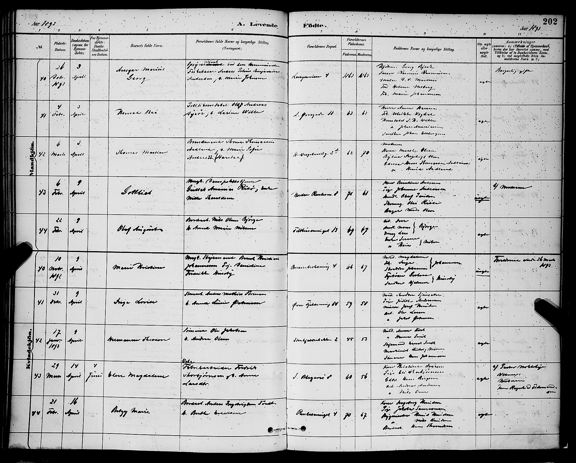 Korskirken sokneprestembete, AV/SAB-A-76101/H/Hab: Parish register (copy) no. B 9, 1887-1896, p. 202