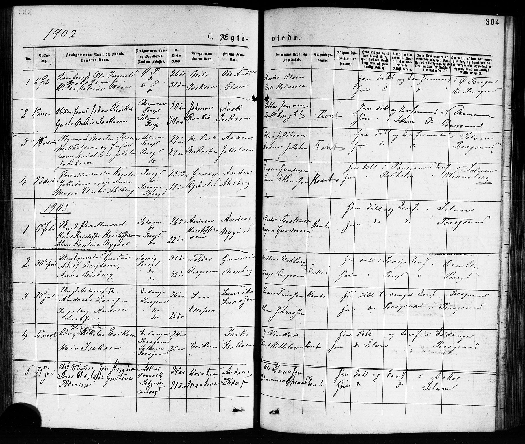Porsgrunn kirkebøker , AV/SAKO-A-104/G/Ga/L0003: Parish register (copy) no. I 3, 1877-1915, p. 304