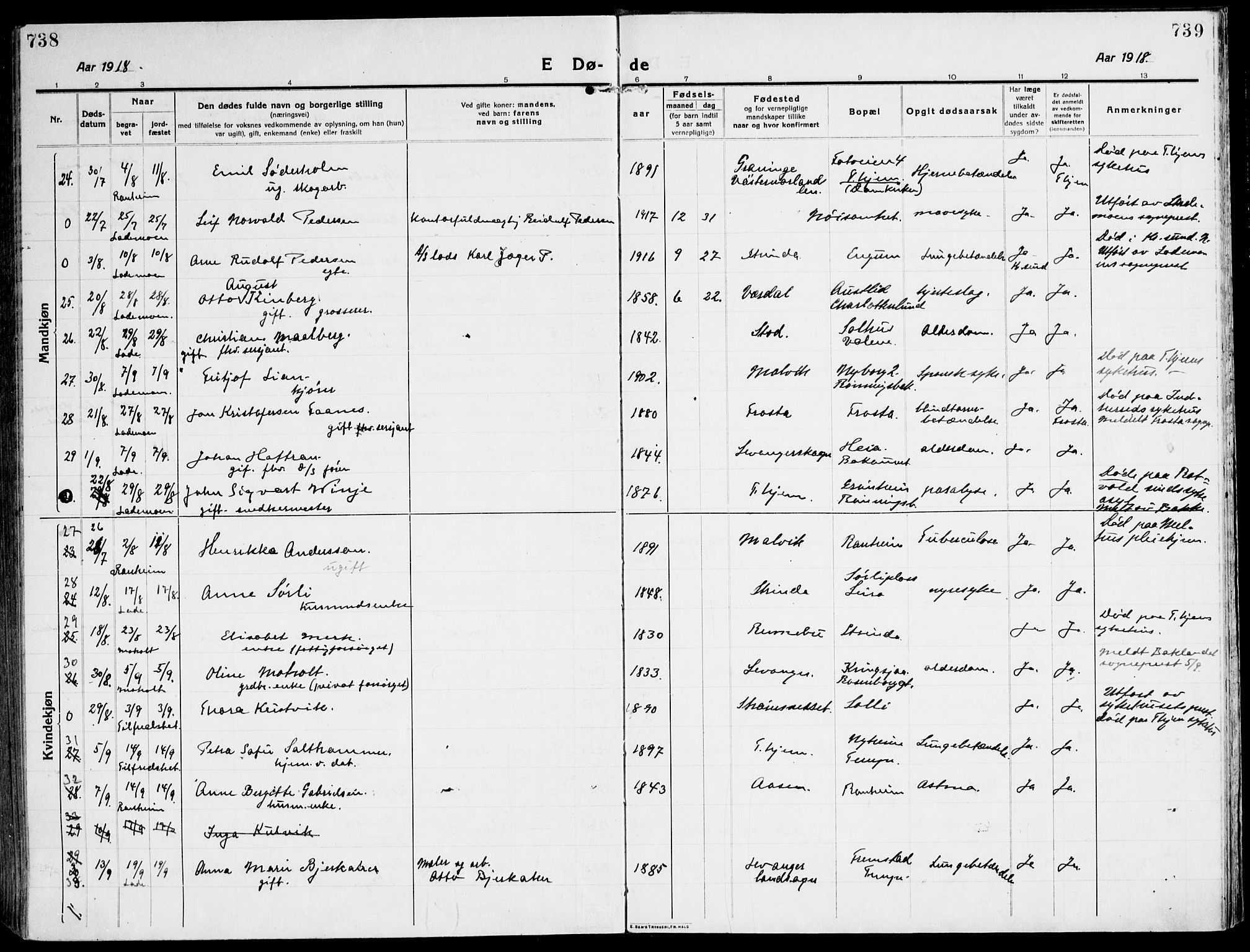 Ministerialprotokoller, klokkerbøker og fødselsregistre - Sør-Trøndelag, AV/SAT-A-1456/607/L0321: Parish register (official) no. 607A05, 1916-1935, p. 738-739