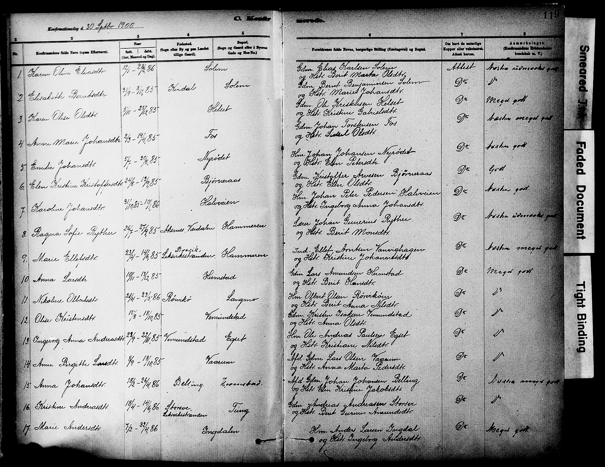 Ministerialprotokoller, klokkerbøker og fødselsregistre - Sør-Trøndelag, AV/SAT-A-1456/646/L0615: Parish register (official) no. 646A13, 1885-1900, p. 119